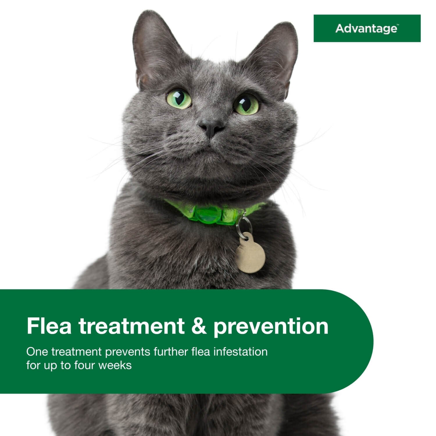 Advantage Topical Flea Prevention For Large Cats 9+ Lbs