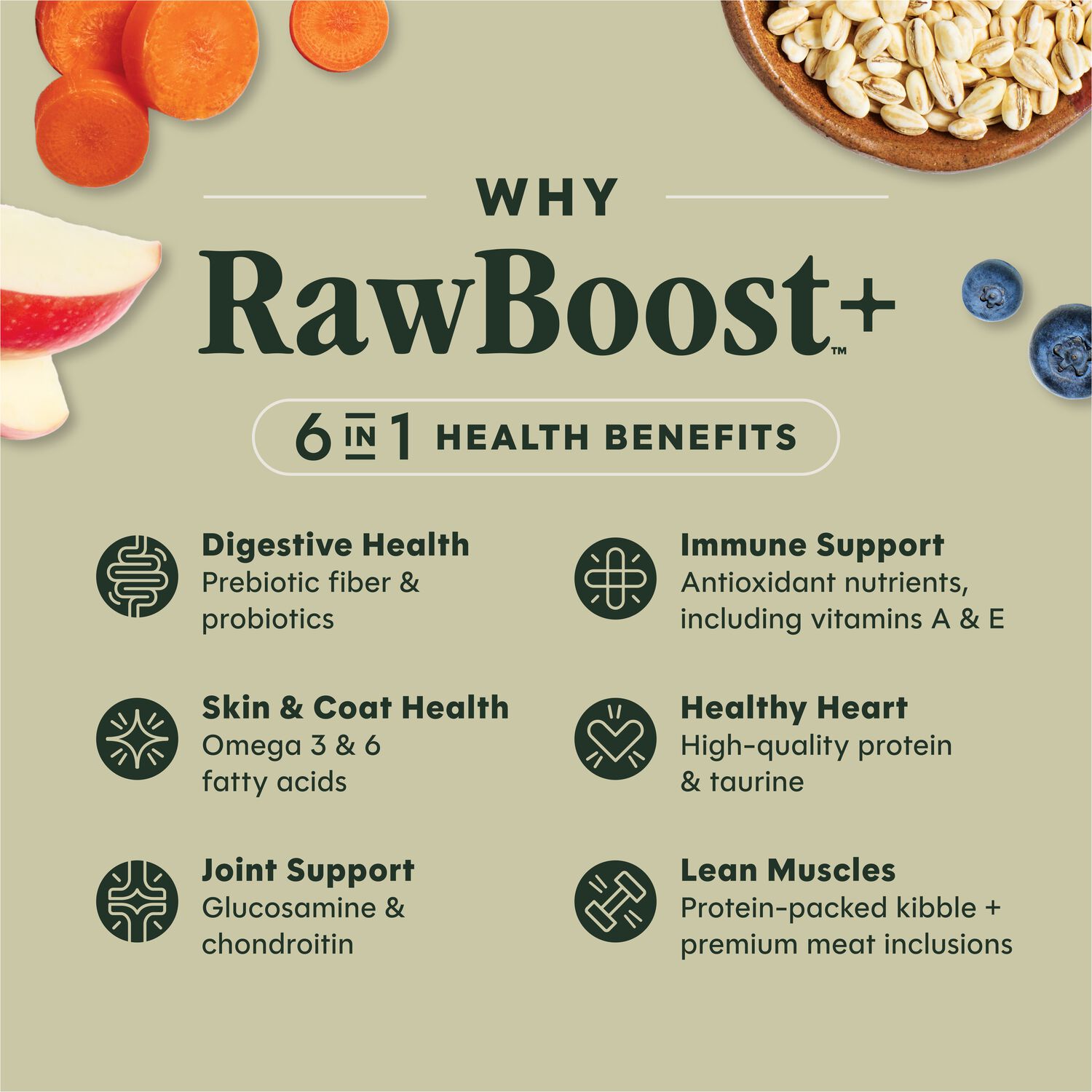 Instinct Raw Boost Whole Grain Real Chicken & Brown Rice Recipe Dry Dog Food, 20-Lb