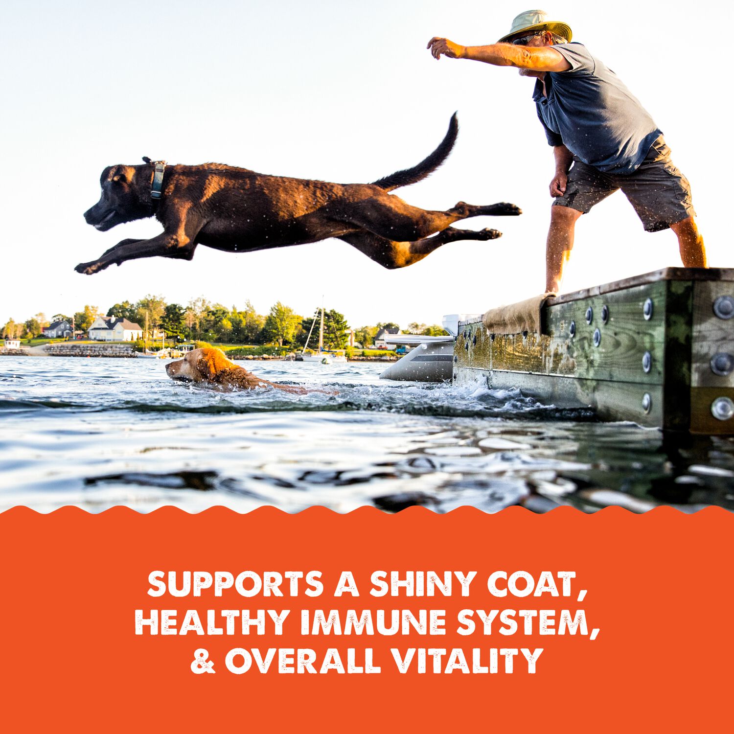 Grizzly Salmon Plus Omega 3-6-9 Cat & Dog Food Supplement, 32-Oz Bottle