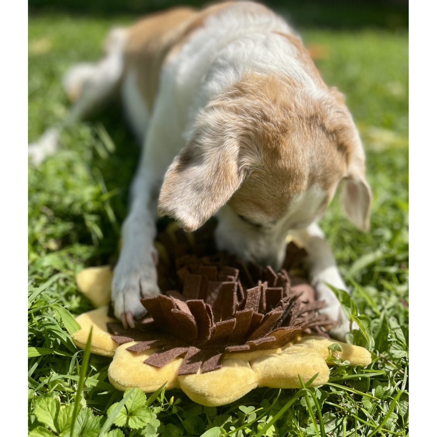 #Bff Fall Sunflower Snuffle Mat Dog Toy, 10"