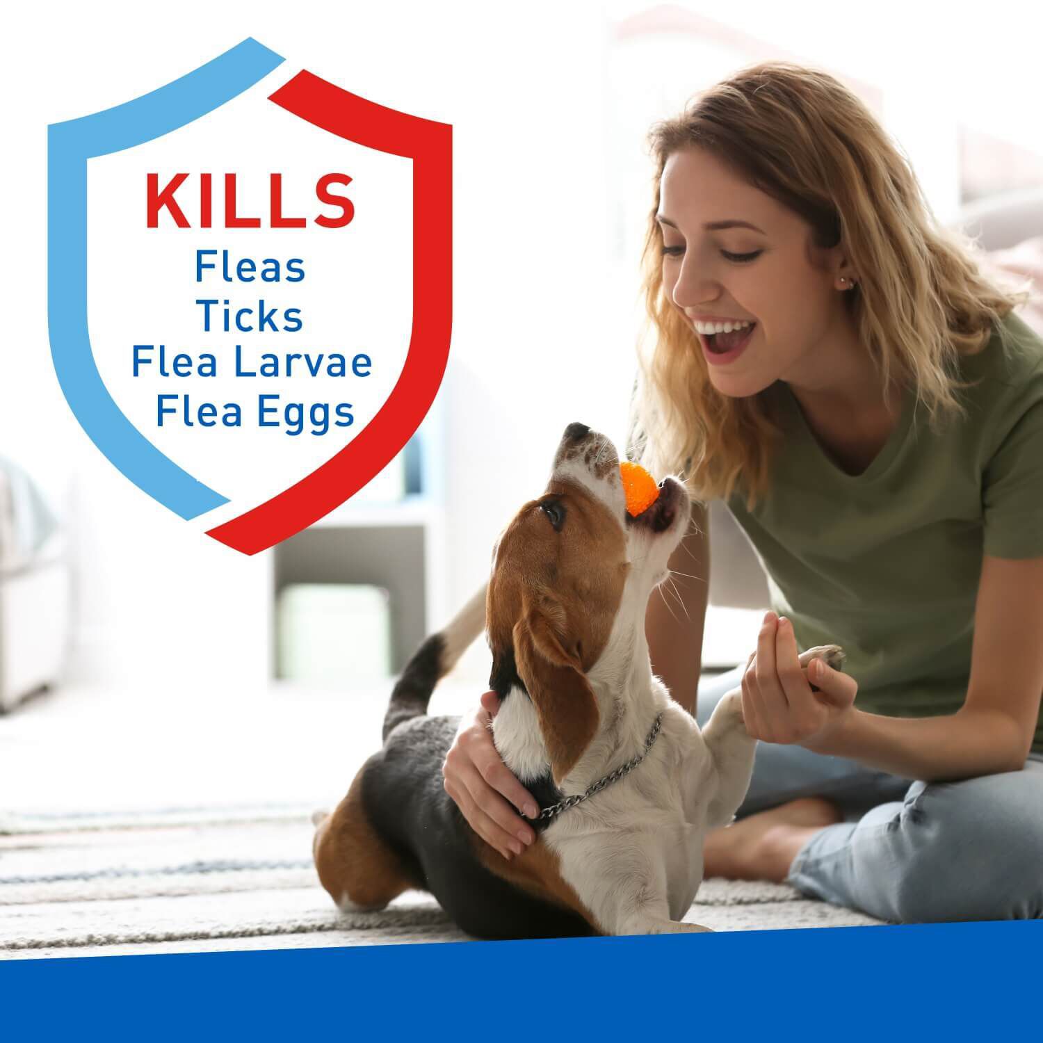 Adams Plus Flea & Tick Carpet Powder, 16Oz | Pet Supermarket
