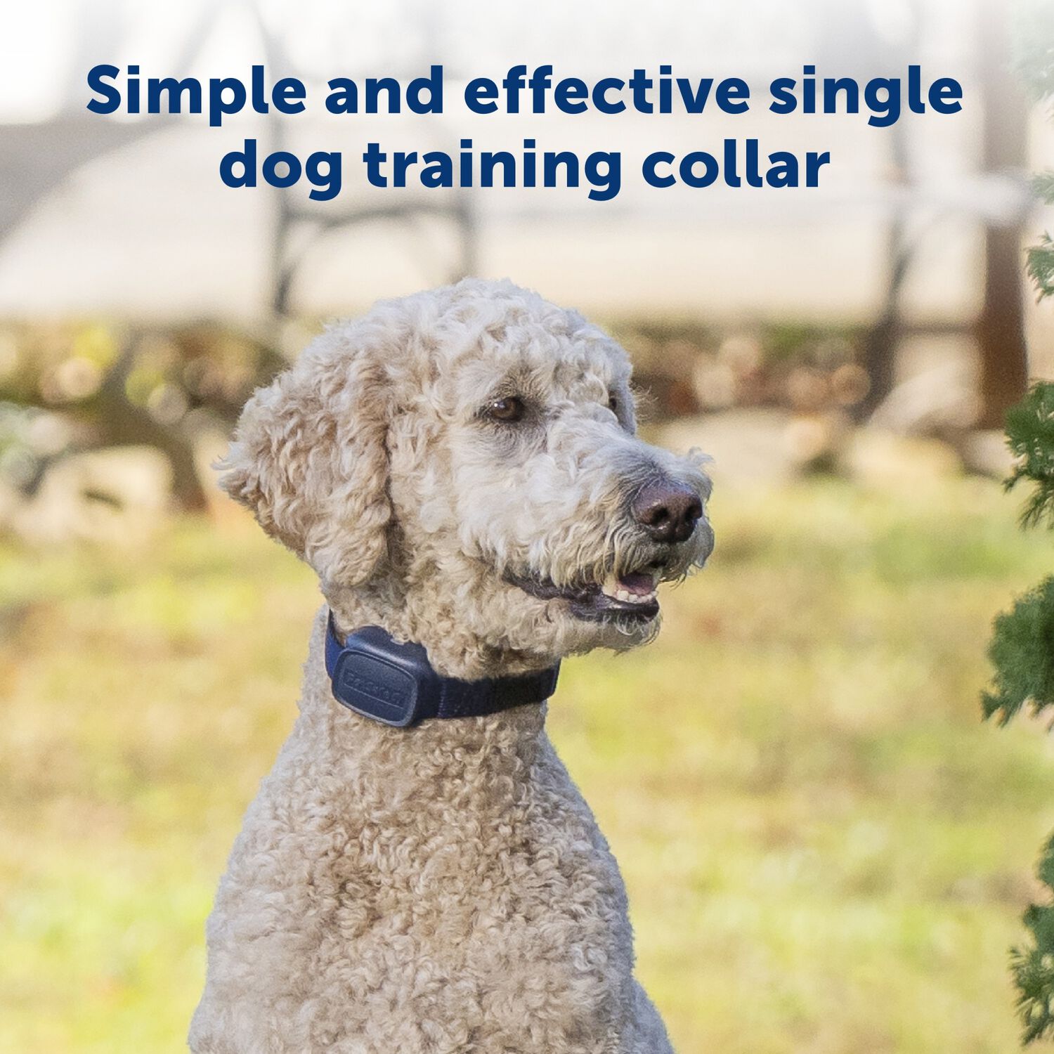 Petsafe Basic Dog Trainer With Remote &ndash; Waterproof Training Dog Collar, 300 Ft Range