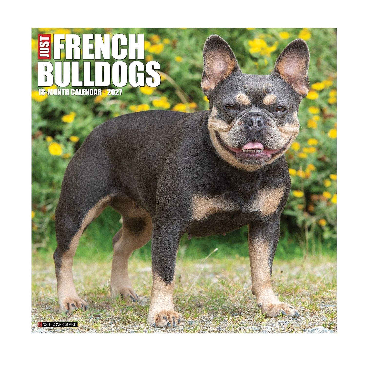 Willow Creek Press Just French Bulldogs 2027 Wall Calendar