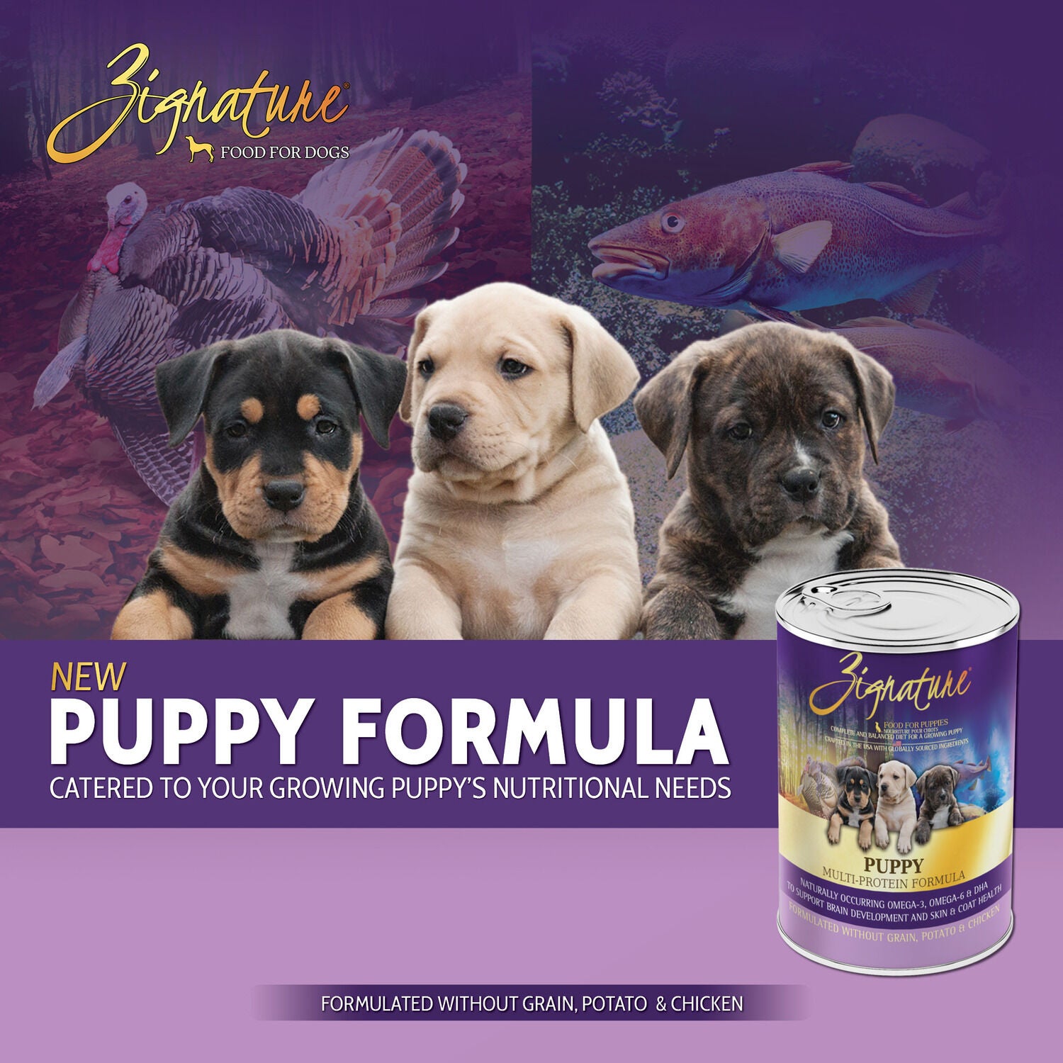 Zignature Puppy Formula Wet Dog Food, 13Oz - Pack Of 12