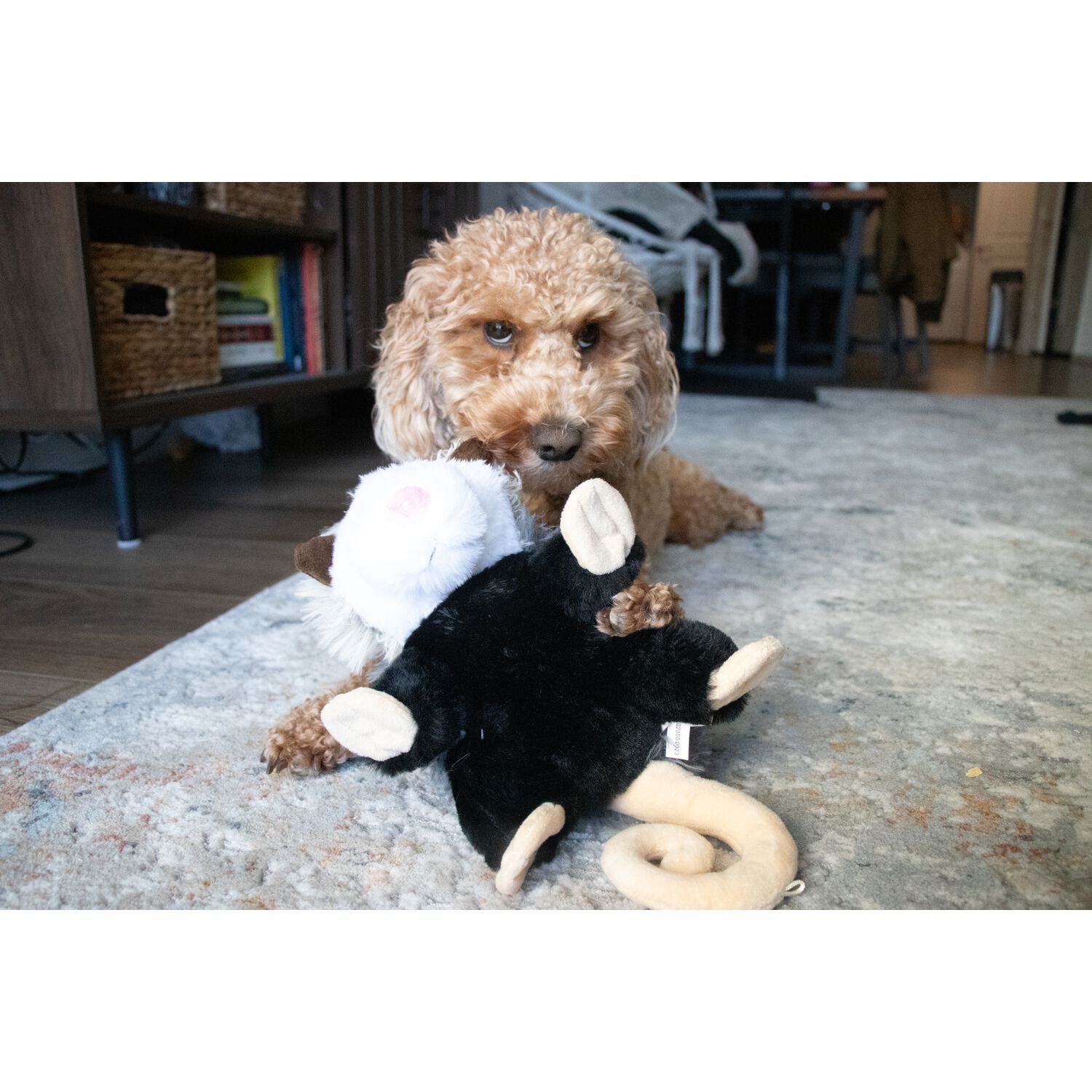 Tall Tails Possum Rope Body Squeaker Plush Dog Toy, 12-Inch