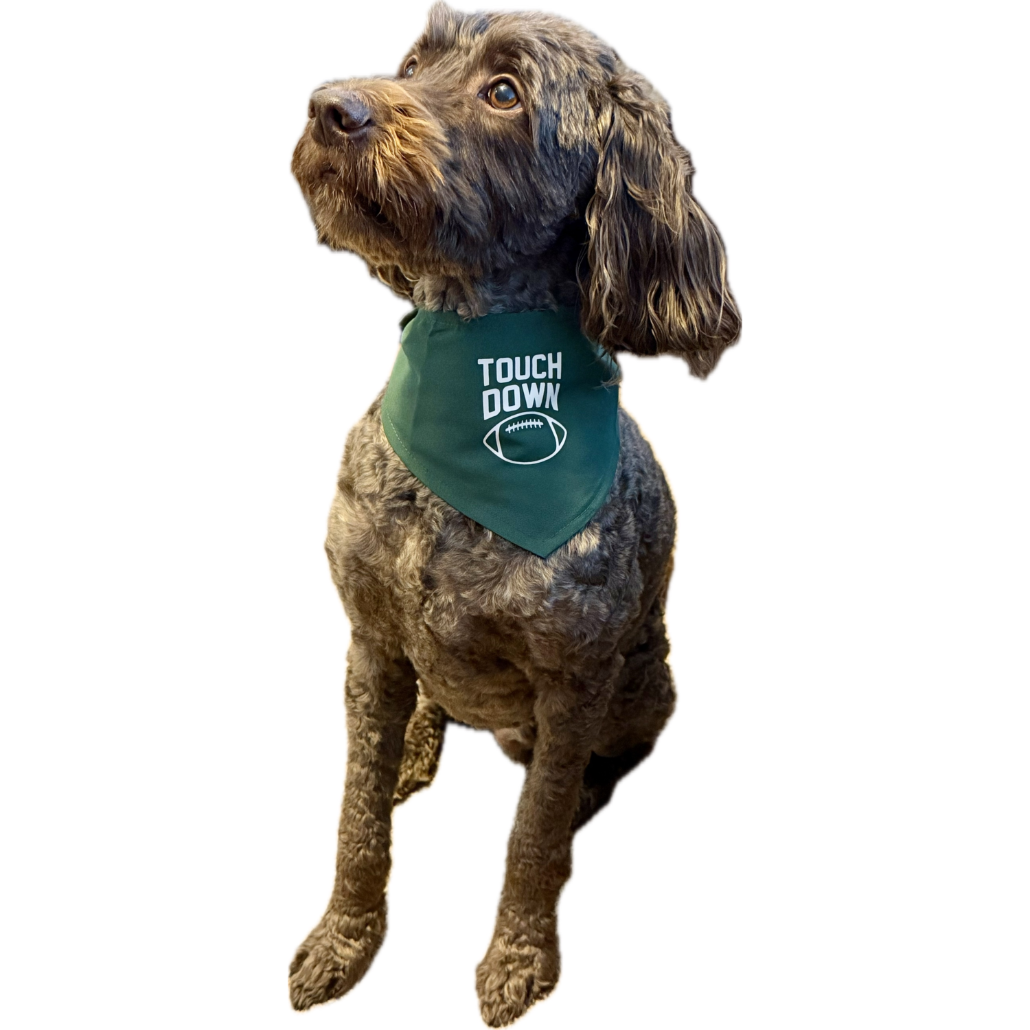 Aristopet Touchdown Dog Bandana, Green