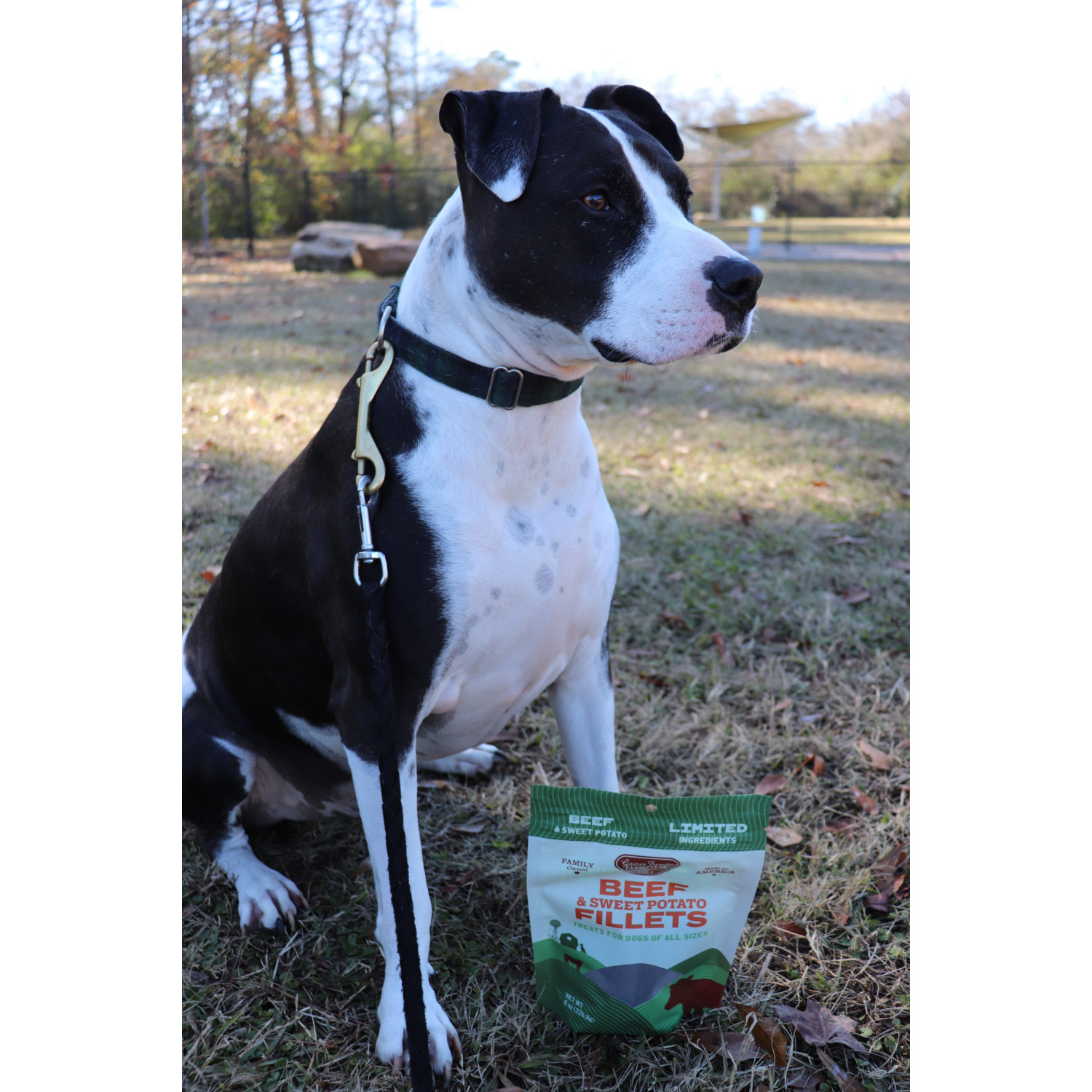 Gaines Family Farmstead Beef And Sweet Potato Fillets Dog Treats, 8Oz