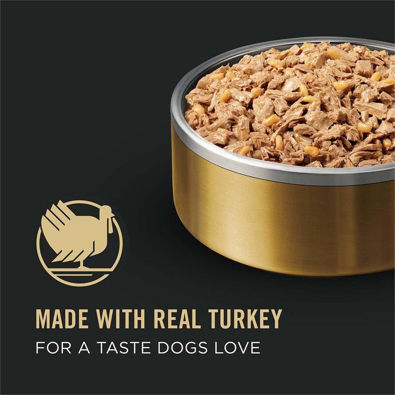 Bright Mind Adult 7+ Turkey & Brown Rice Entree Dog Food