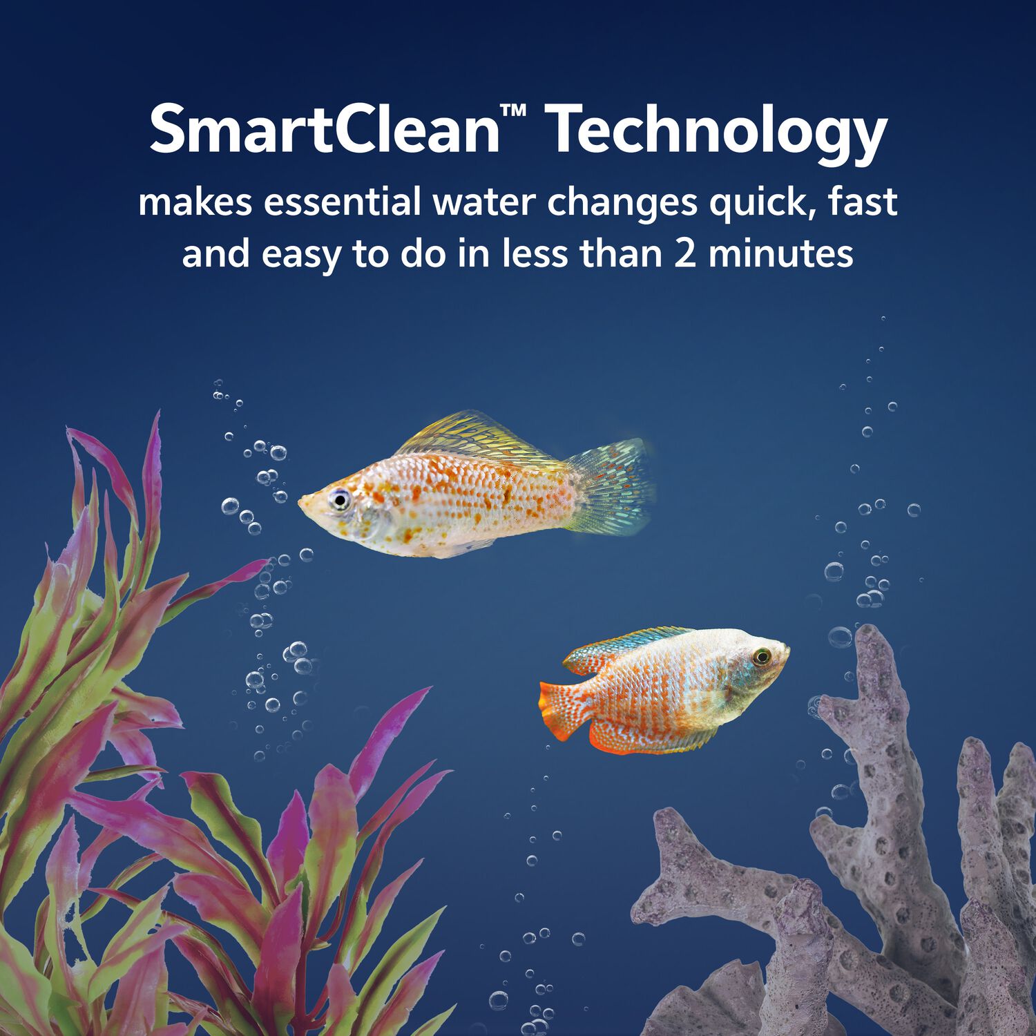Aqueon Led Minibow Smartclean Desktop Aquarium Kit Fish & Aquatic Habitat, 1-Gallon