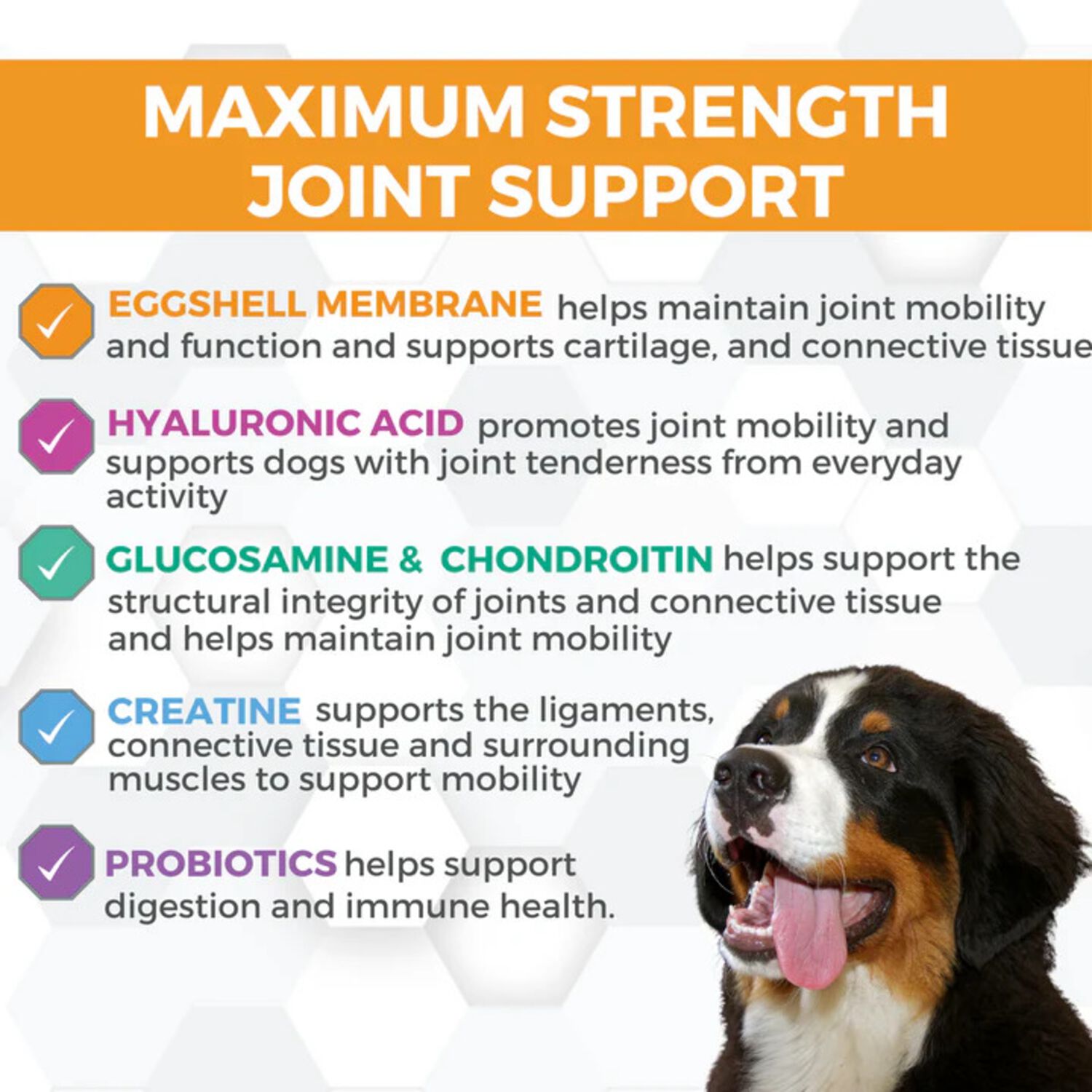 Progilitymax Hip & Joint With Eggshell Membrane, Glucosamine & Chondroitin Supplement For Large Dogs, 60 Count