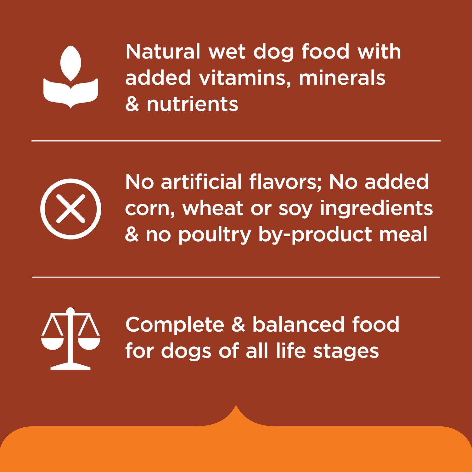 Rachael Ray&reg; Nutrish&trade; Savory Favorites Variety Pack Wet Dog Food, 8-Oz Pack Of 6