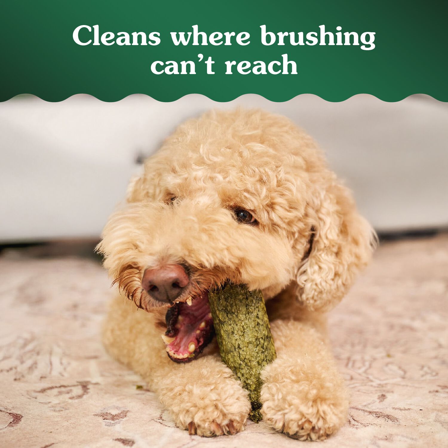 Greenies Deep Clean Original Flavor Small Size Dental Dog Treats, 2.82 Oz, 2 Count
