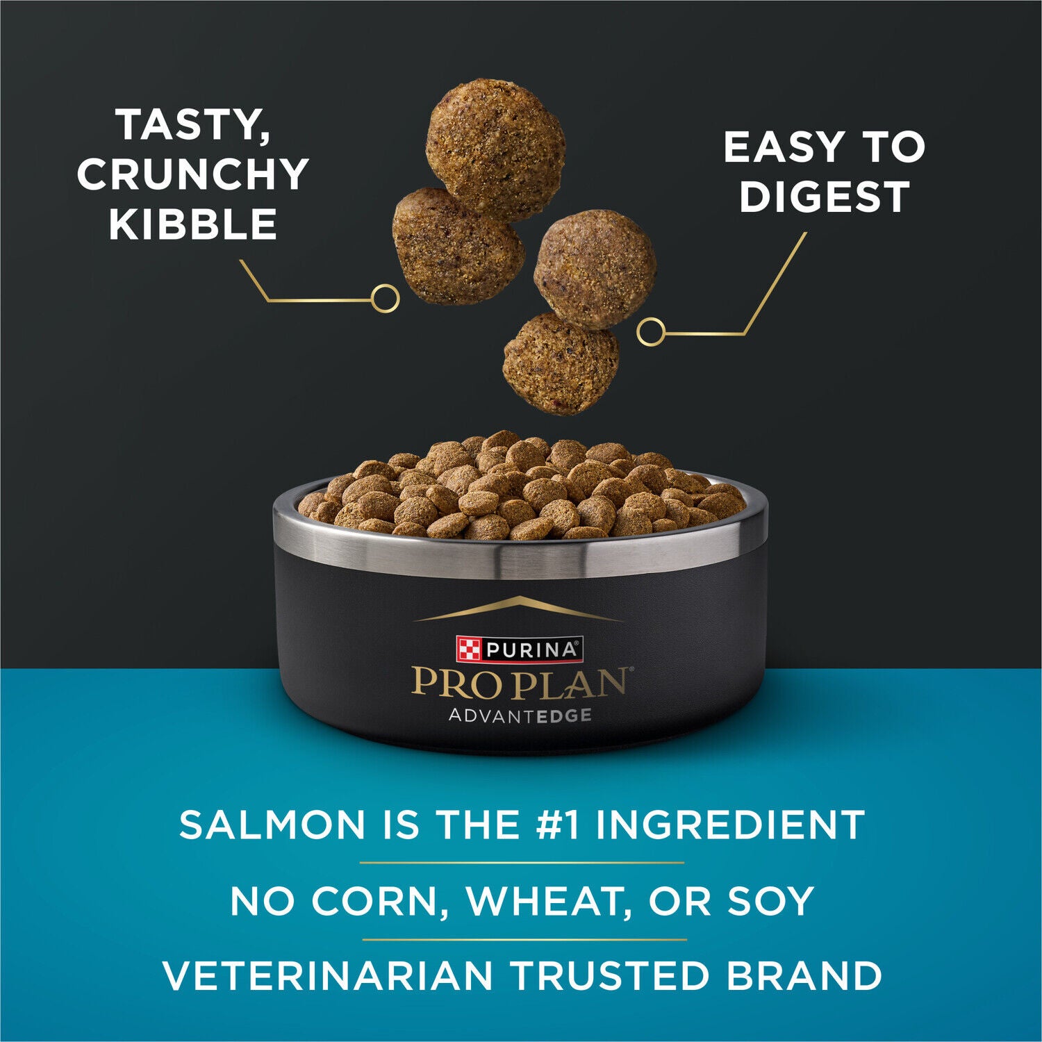 Purina Pro Plan Advantedge Digestive Support Plus Salmon And Oat Meal Formula Adult Dry Dog Food - 22-Lb. Bag
