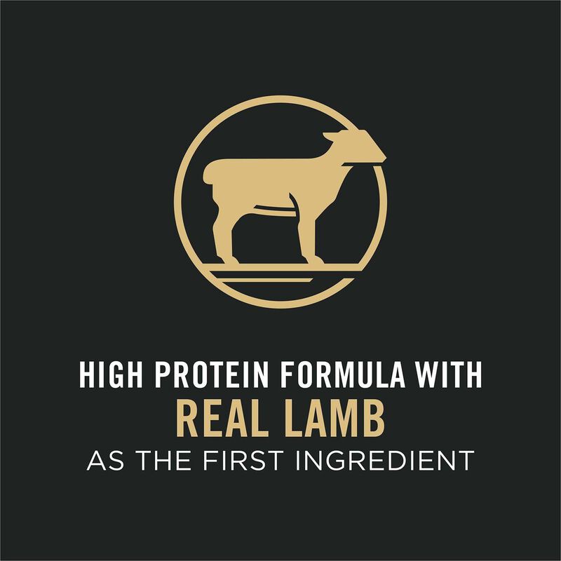 Specialized Sensitive Skin & Stomach Lamb & Oat Meal Formula Dog Food image number 20
