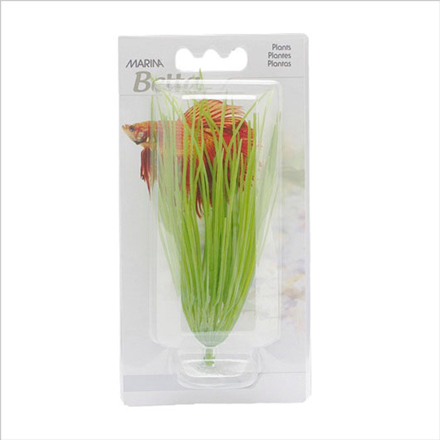 Betta Kit Hairgrass Aquarium Plant With Suction Cup