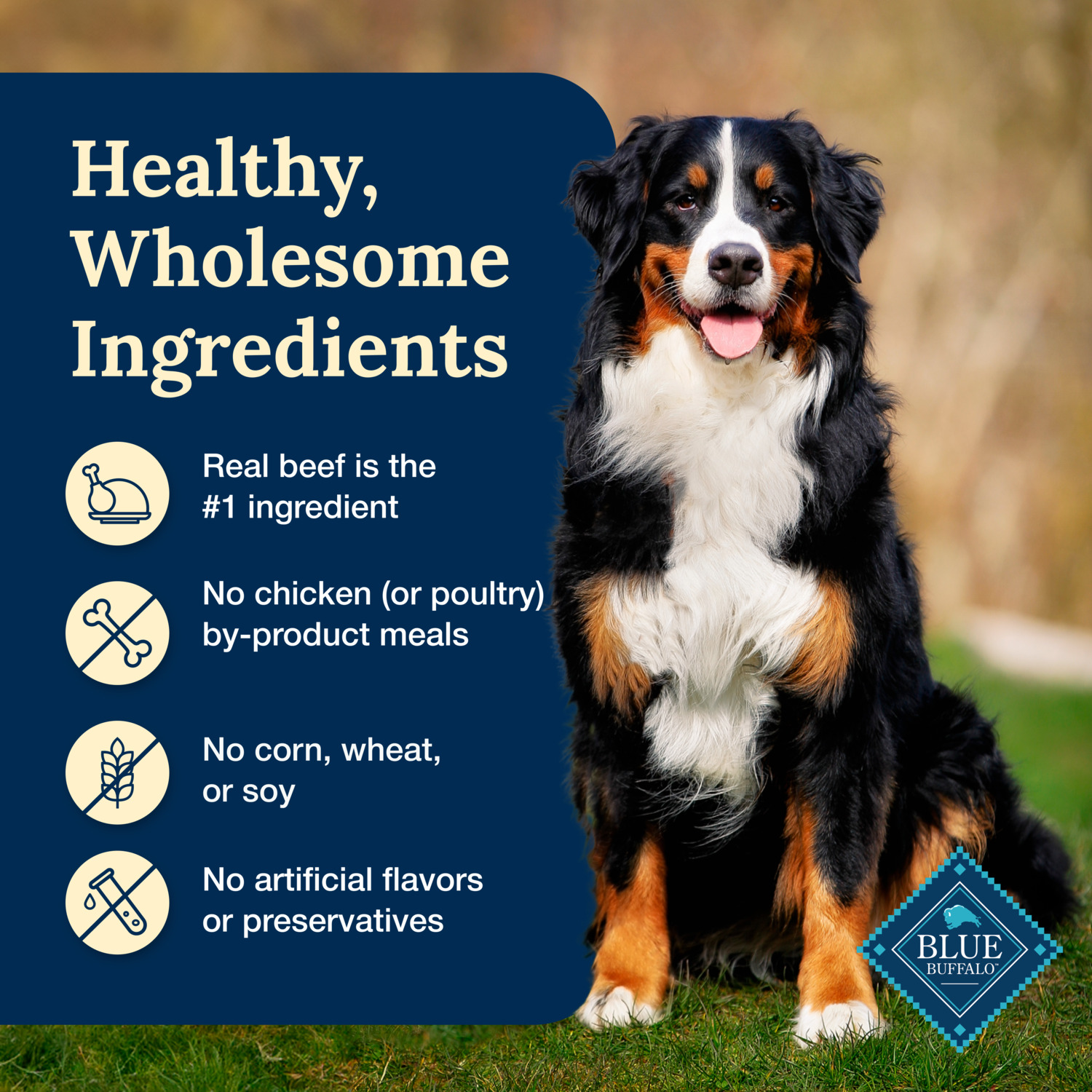 Blue Buffalo Delectables Hearty Beef Cuts In Gravy Natural Wet Dog Food Topper, 3-Oz