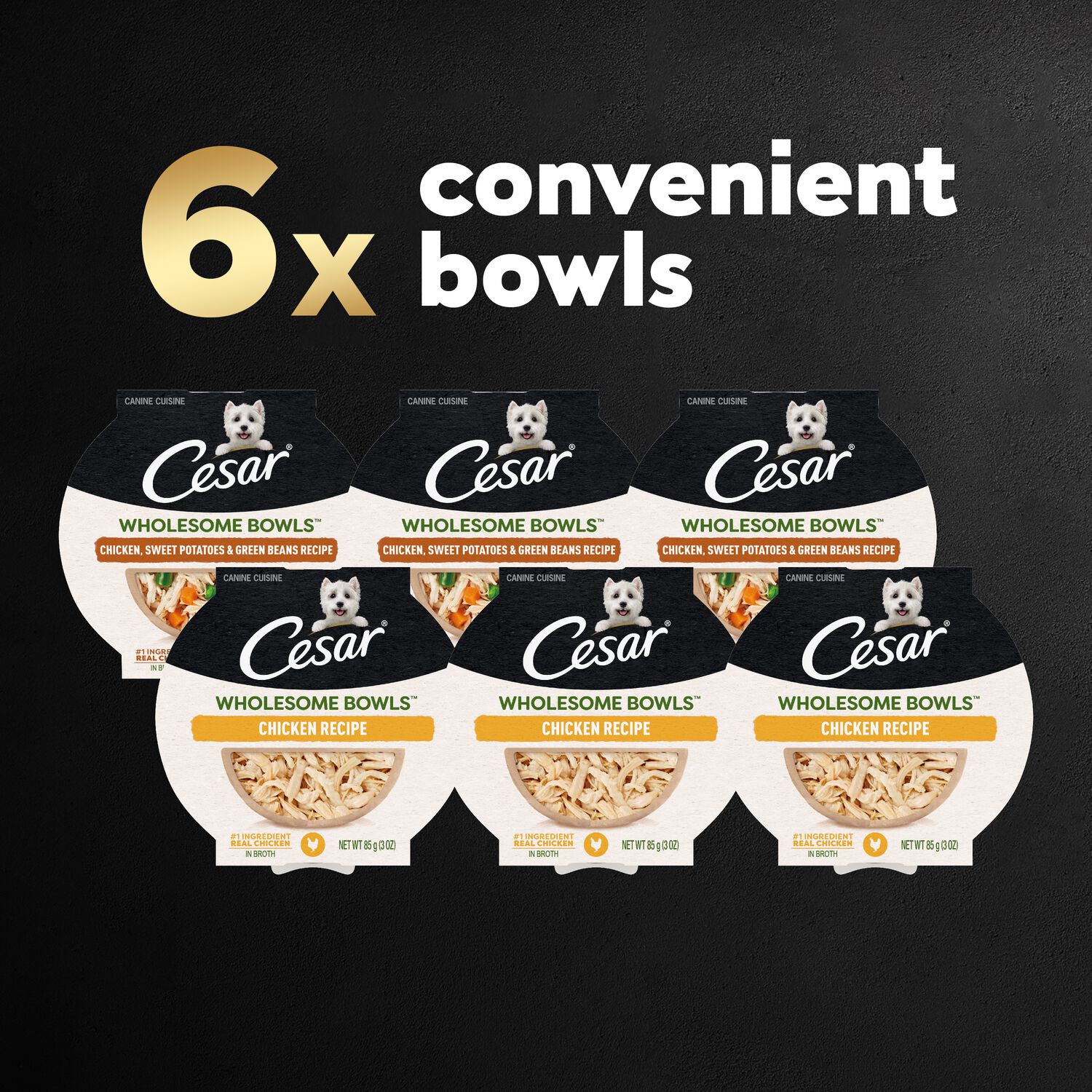 Cesar Wholesome Bowls Wet Dog Food Chicken Recipes Variety Pack, 3Oz/6Ct