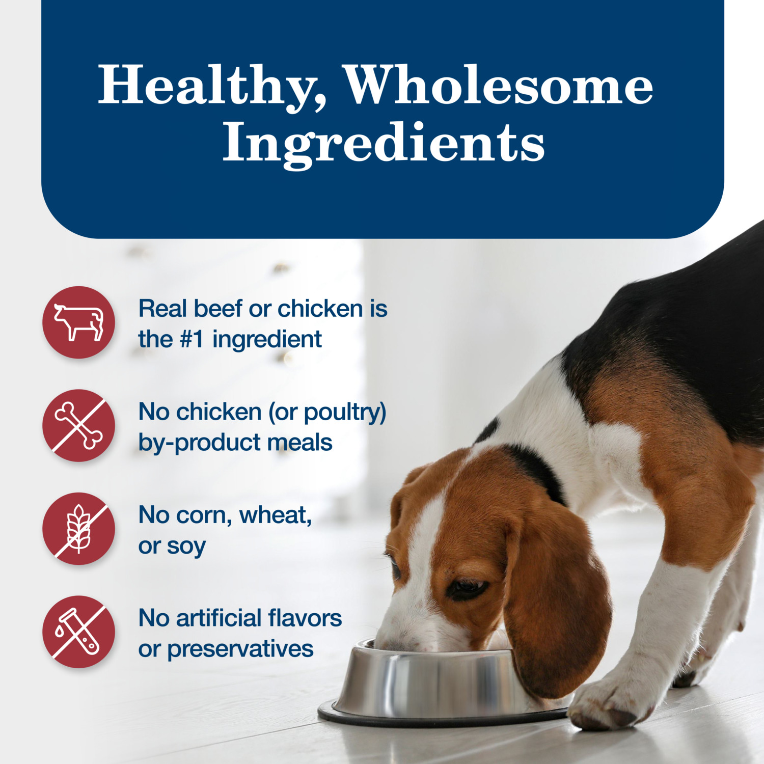 Blue Buffalo Homestyle Recipe Chicken & Beef Pate Wet Dog Food, Variety Pack - 12.5 Oz - Pack Of 6
