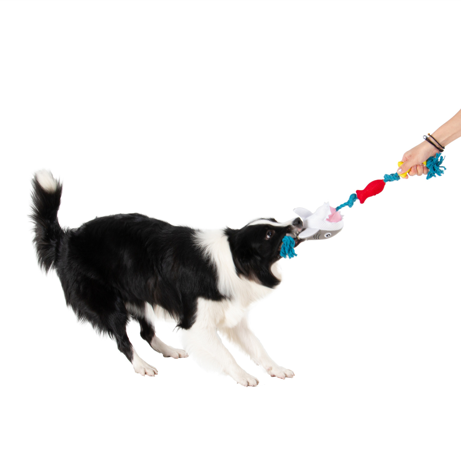Territory Shark Floating Dog Tug Toy, 20"