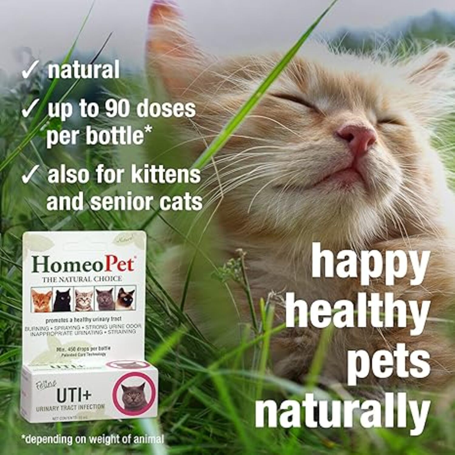 Homeopet Feline Uti Plus Cat Urinary Care Relief, 15Ml