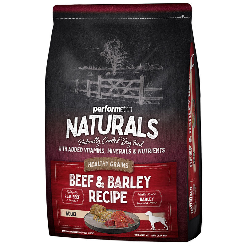 Adult Beef & Barley Recipe Dog Food image number 1