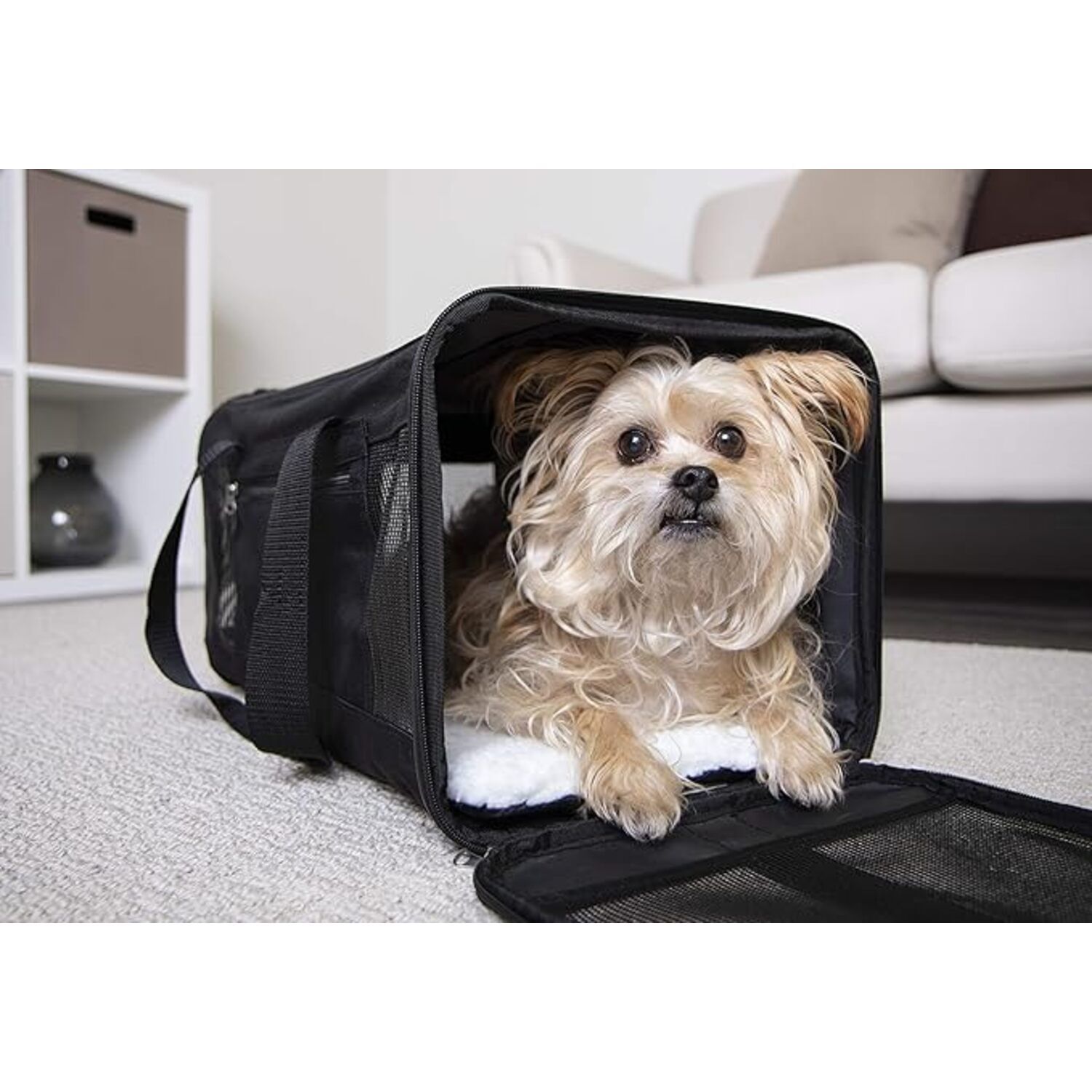 Trustypup Easy Explorer Travel Pet Carrier, Airline Approved & Guaranteed On Board, Black, Medium