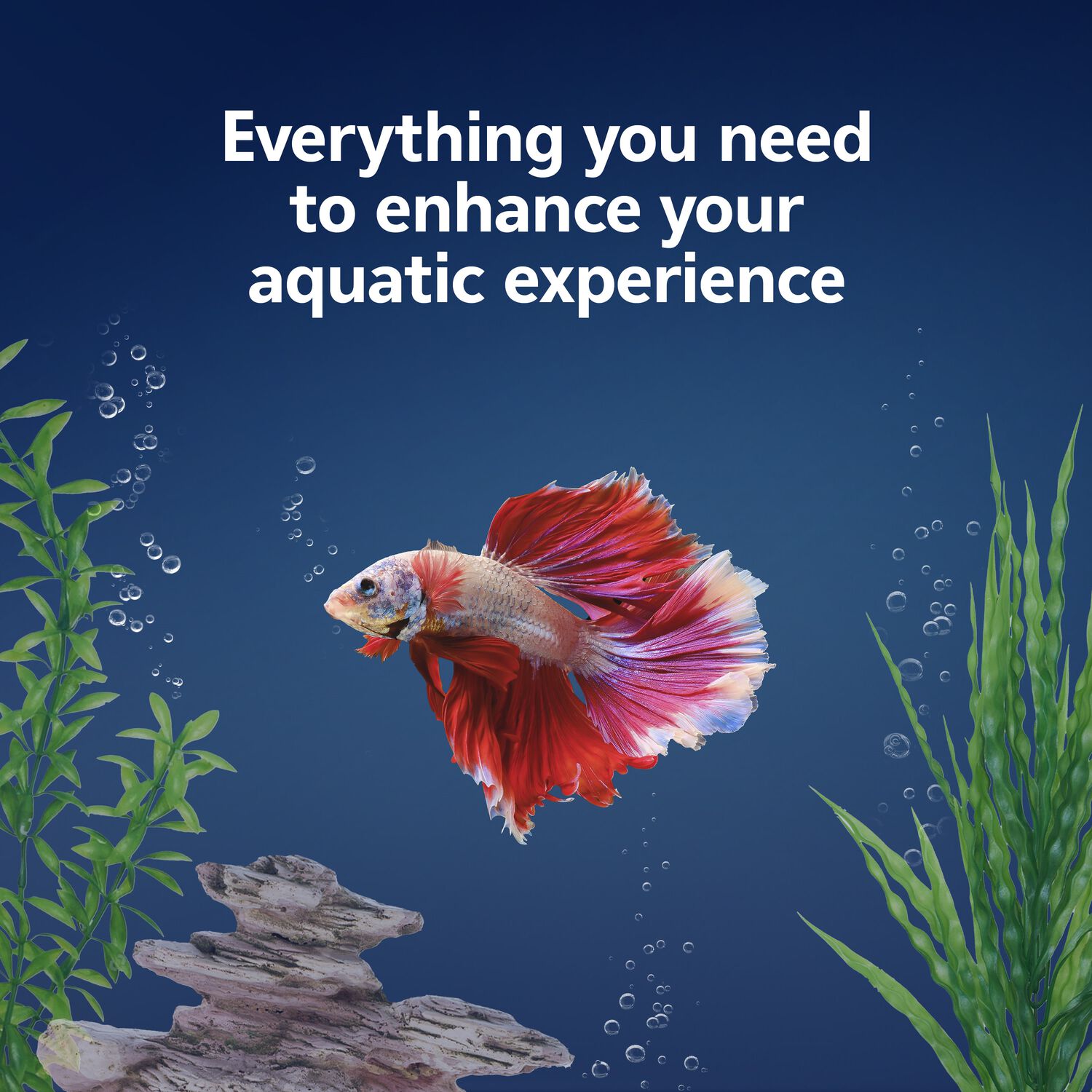 Aqueon Led Minibow Smartclean Desktop Aquarium Kit Fish & Aquatic Habitat, 1-Gallon