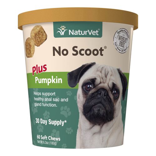 No Scoot For Dogs - Plus Pumpkin