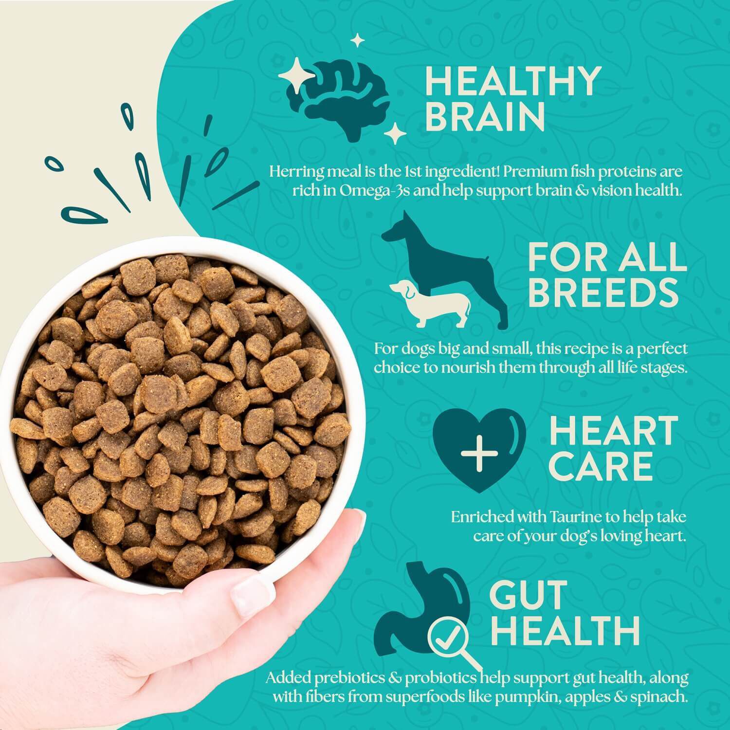 Earthborn Holistic Coastal Catch Grain-Free Dry Dog Food Herring Meal & Vegetables 25-Lb Bag