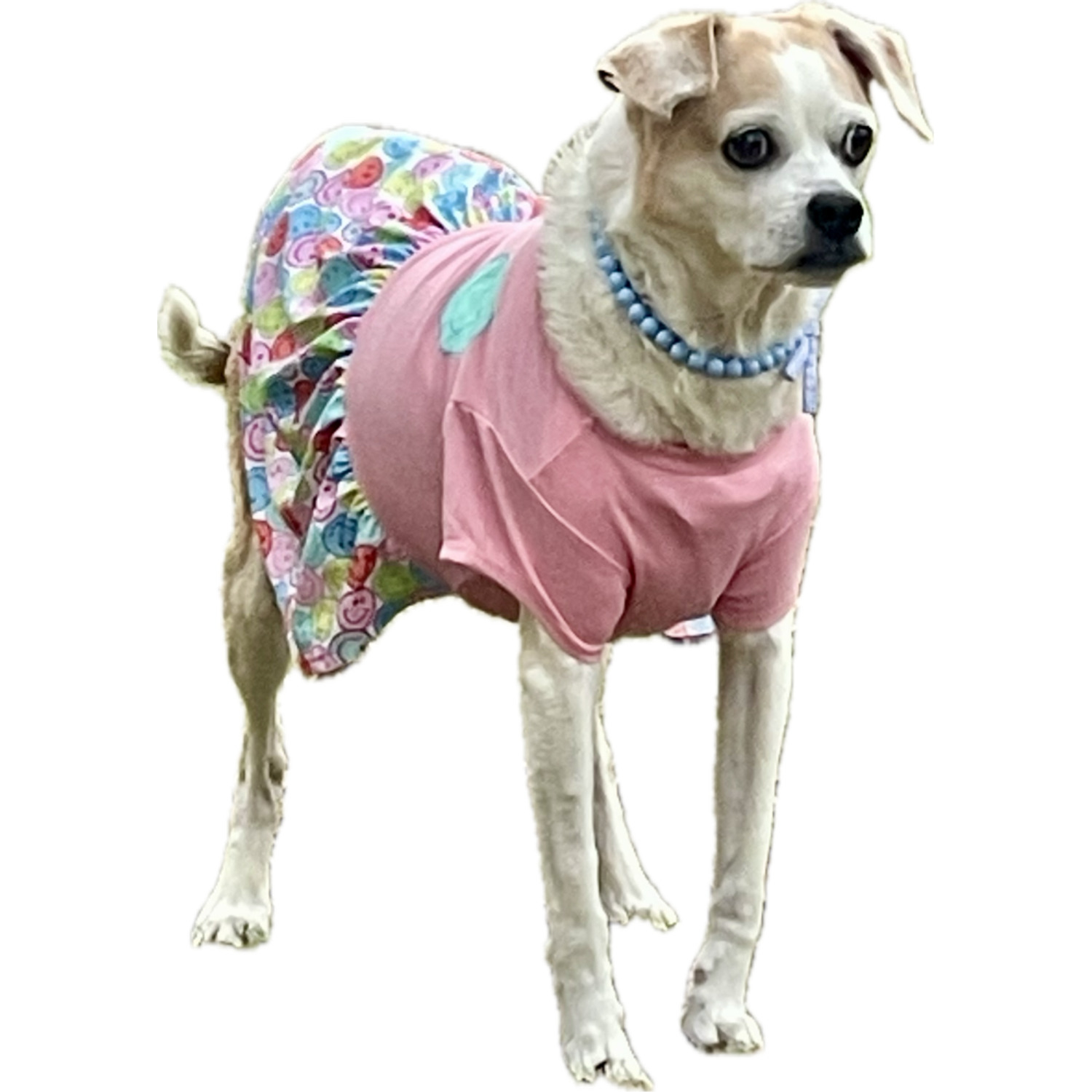 Bailey & Bella Pink Smiley Face T-Shirt Dog Dress, Extra Small