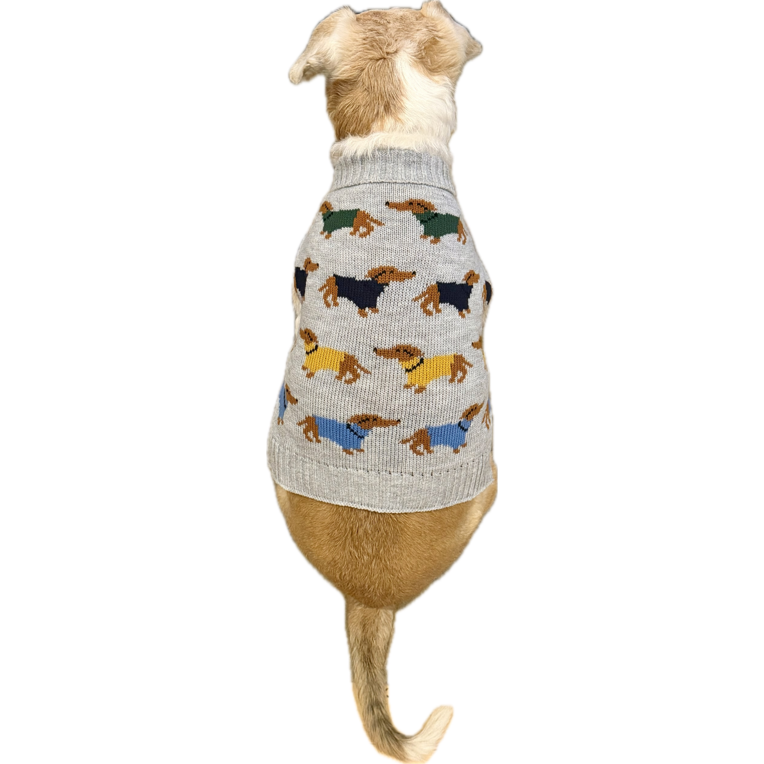 Aristopet Gray Dachshund Motif Dog Sweater