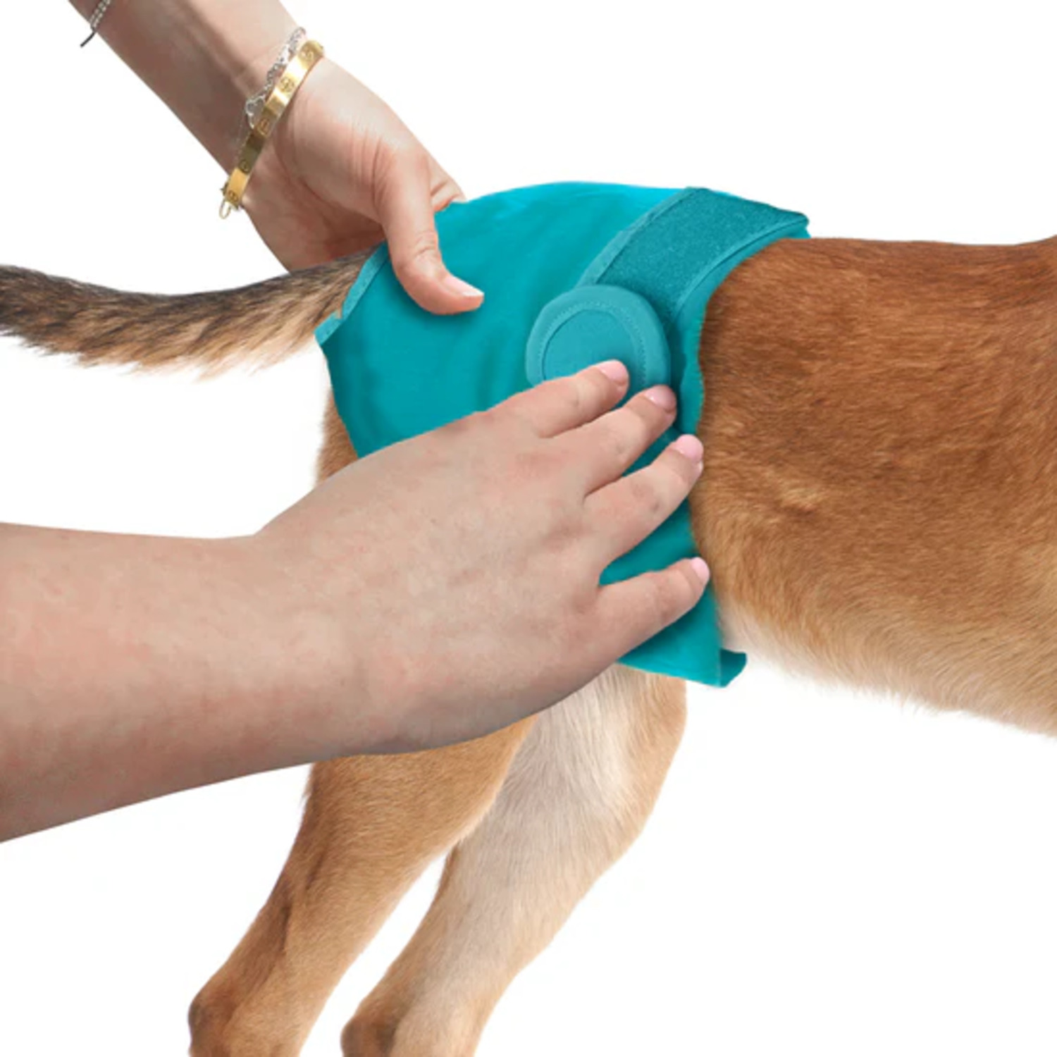 Simple Solution Washable Dog Diaper, Extra Large