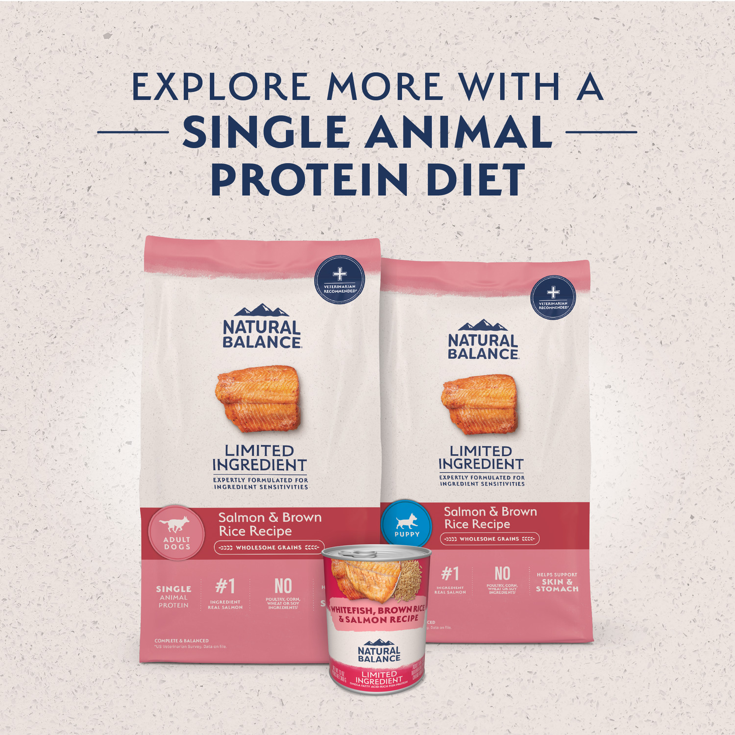 Natural Balance Limited Ingredient Dry Dog Food, Salmon & Brown Rice Recipe, 4 Lbs.