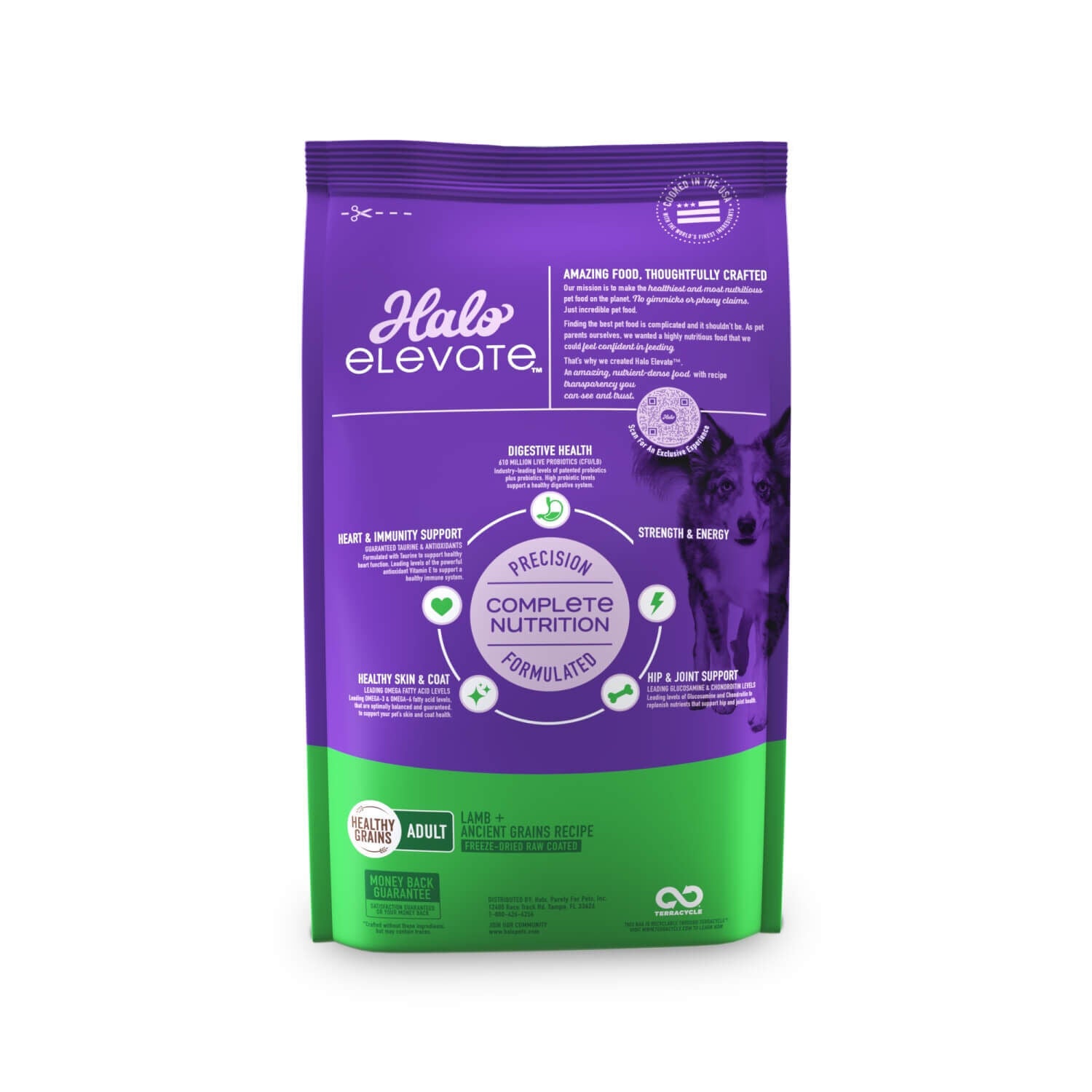 Buy elevate dog shop food
