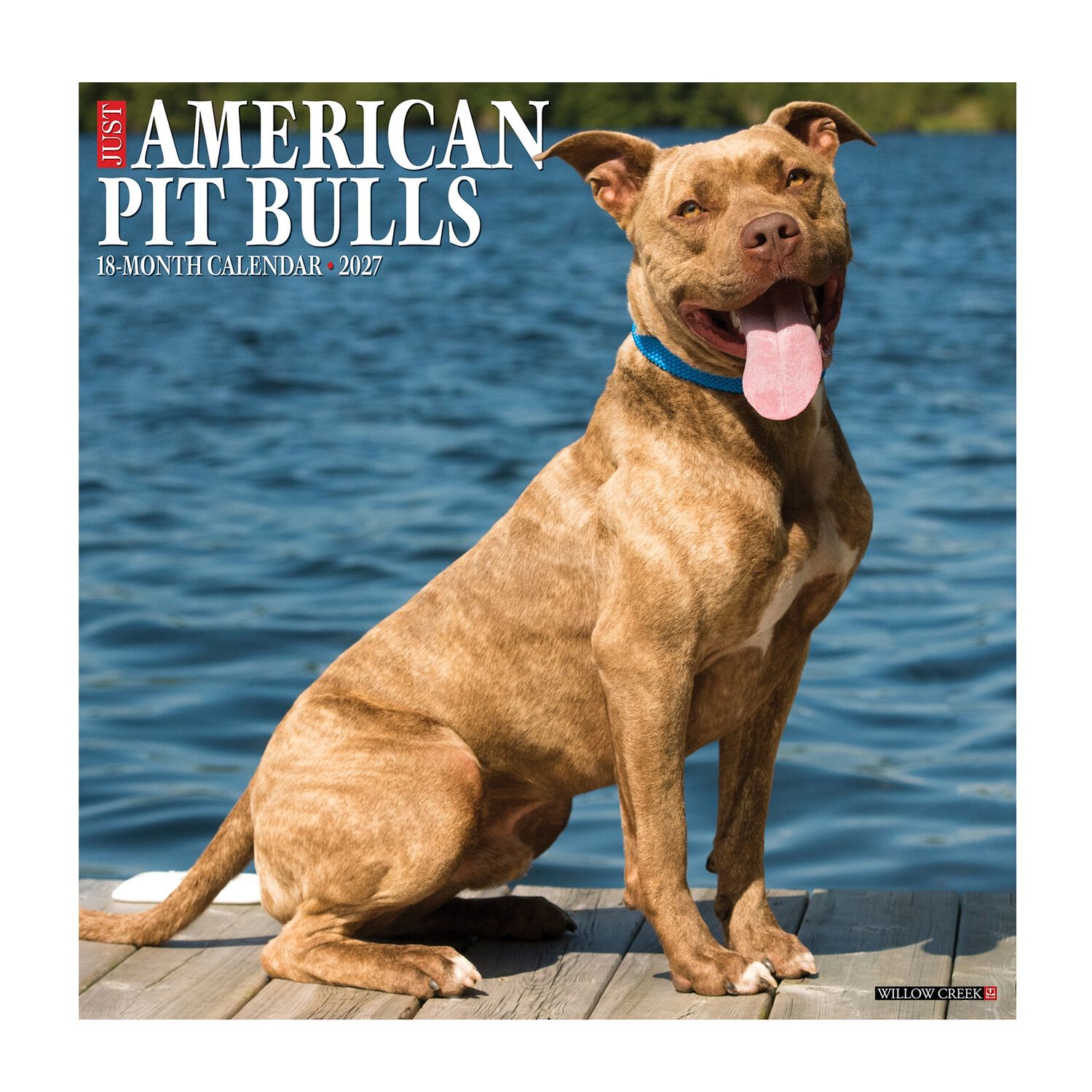 Willow Creek Press Just American Pit Bull Terriers 2027 Wall Calendar