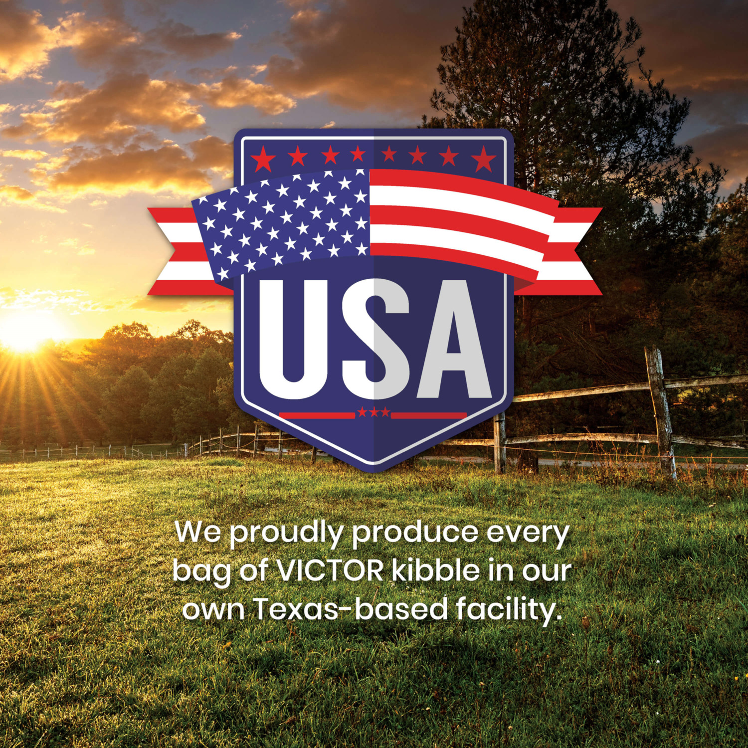 Victor Classic Hi-Pro Plus Dry Dog Food, 5-Lb