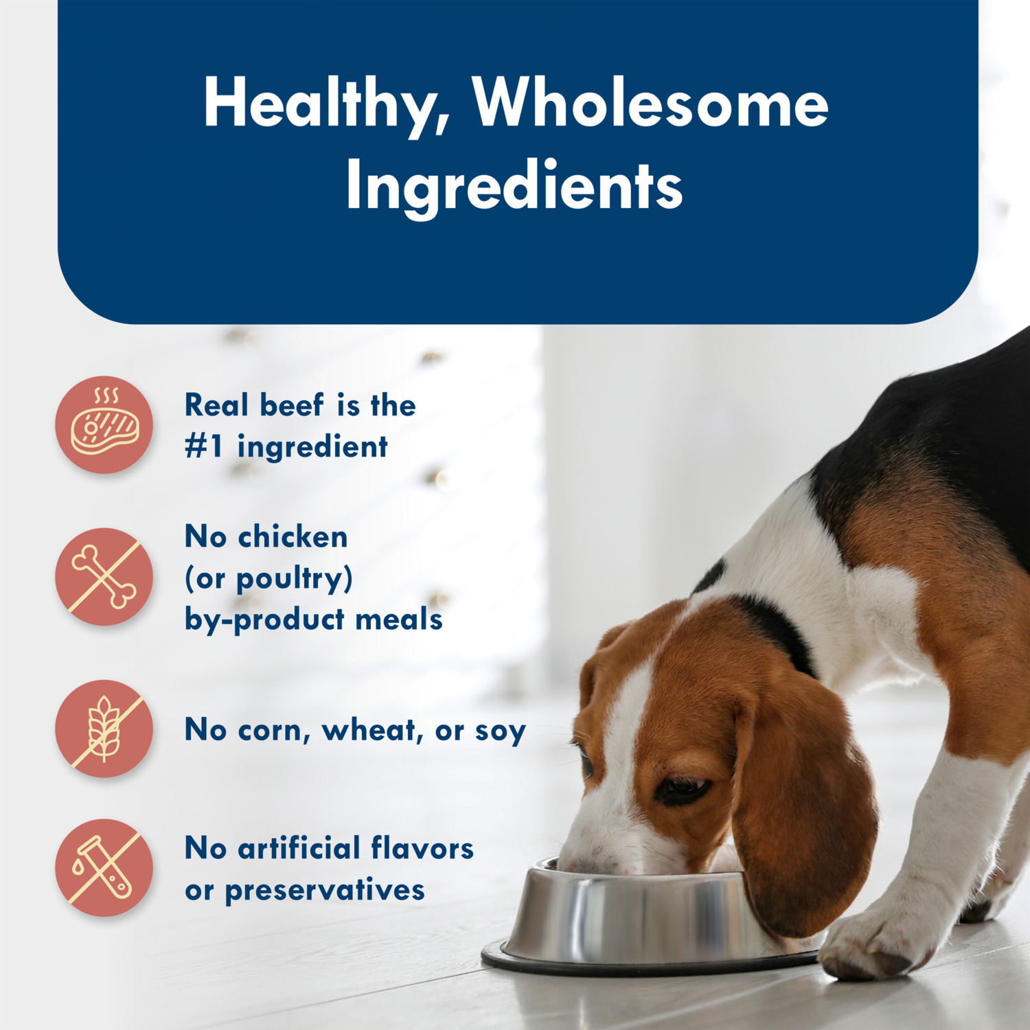 Blue Buffalo Blue Divine Delights Small Breed Natural Wet Dog Food, Prime Rib Flavor In Hearty Gravy, 3.5-Oz