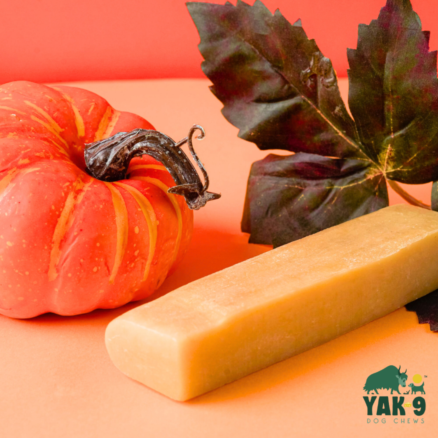 Yak9 Chews Natural Yak Cheese Chews Dog Treats, Pumpkin, Small, 3-Pack