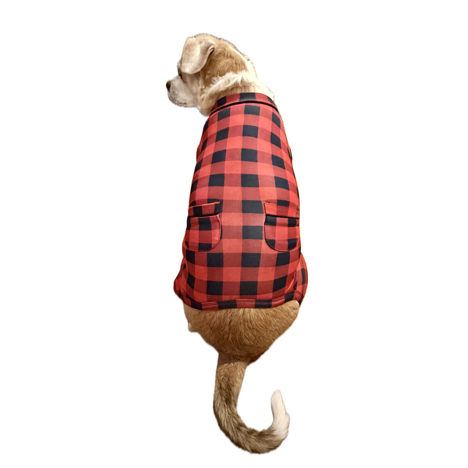 Aristopet Buffalo Check Dog Pajamas, Multi, Small