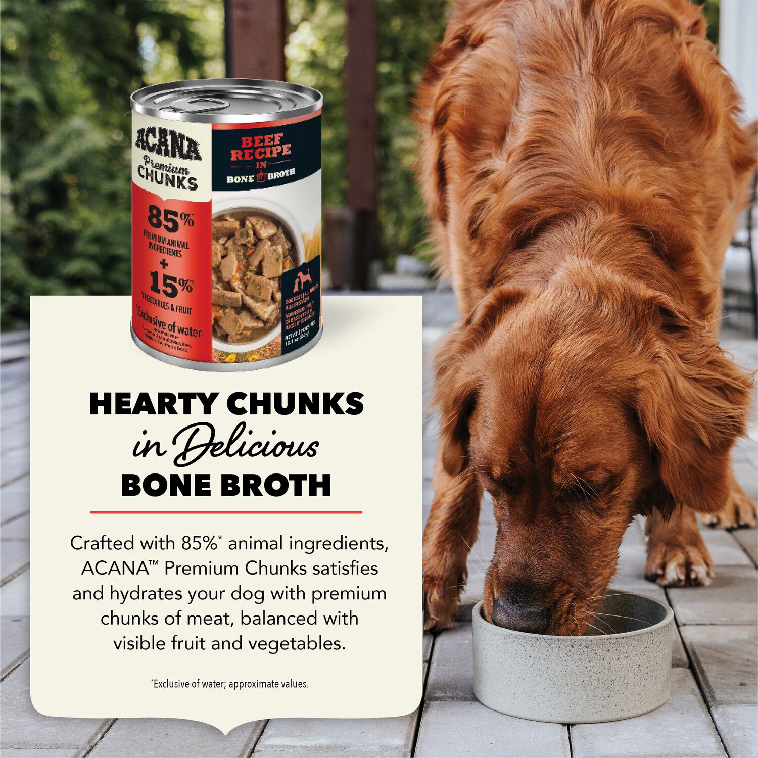 Acana Premium Chunks Beef Recipe In Bone Broth Dog Food, 12.8-Oz