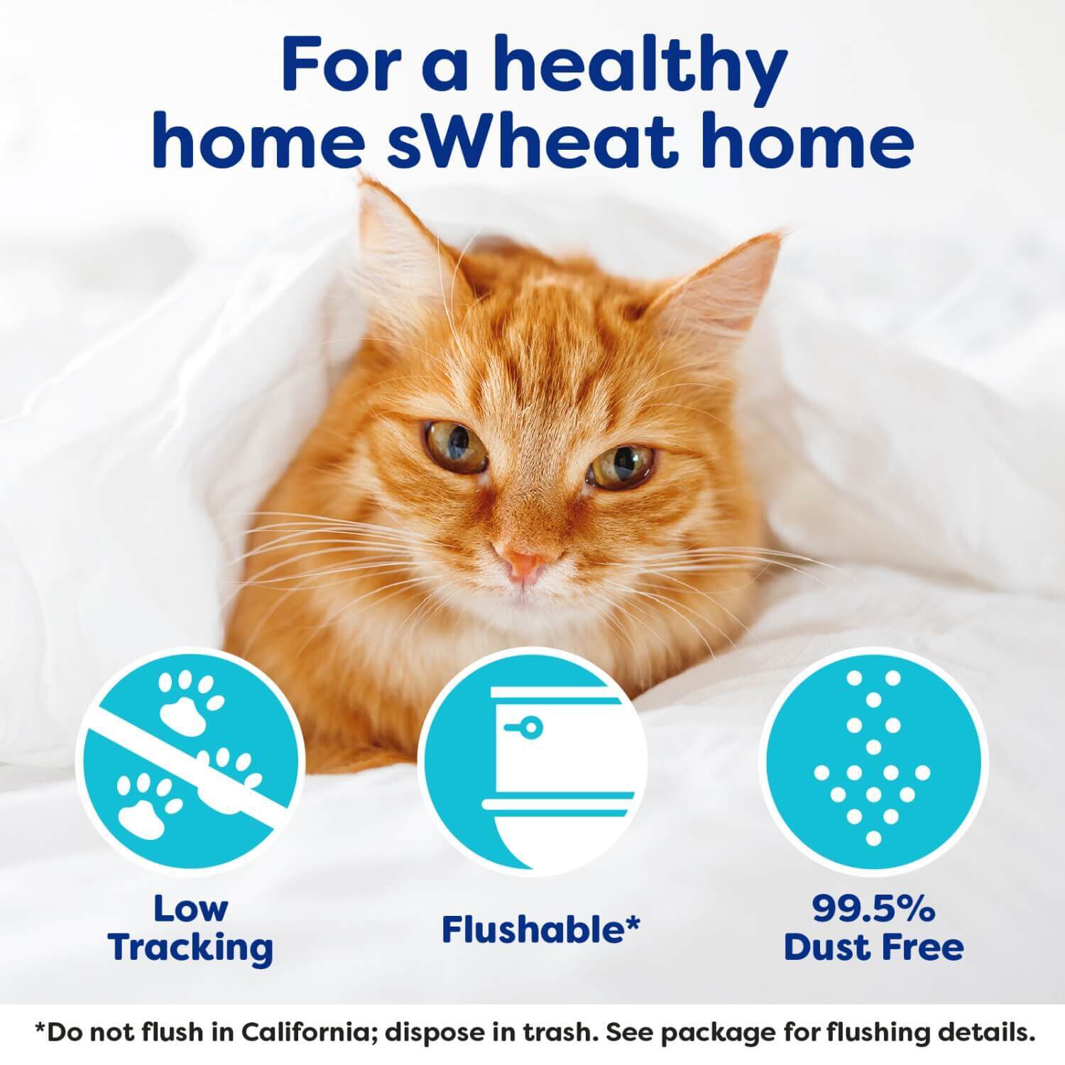 Swheat Scoop Fast Clumping Original Natural Clumping Wheat Cat Litter, Unscented