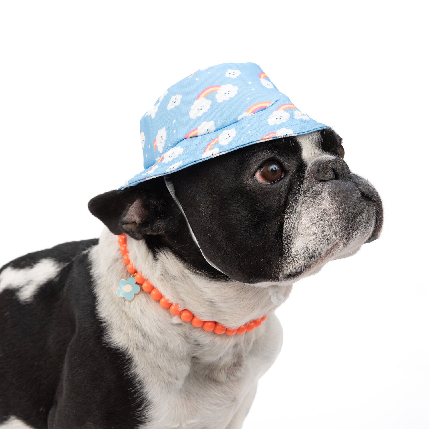 Simply Dog Orange Beads With Blue Charm Dog Necklace