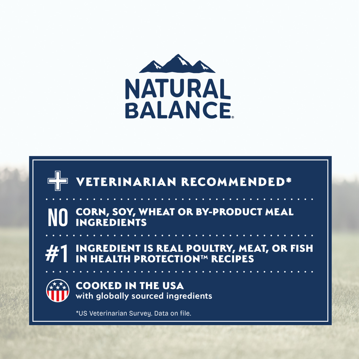Natural Balance Health Protection Puppy Dry Dog Food, Chicken, Brown Rice & Pumpkin Recipe, 12-Lb