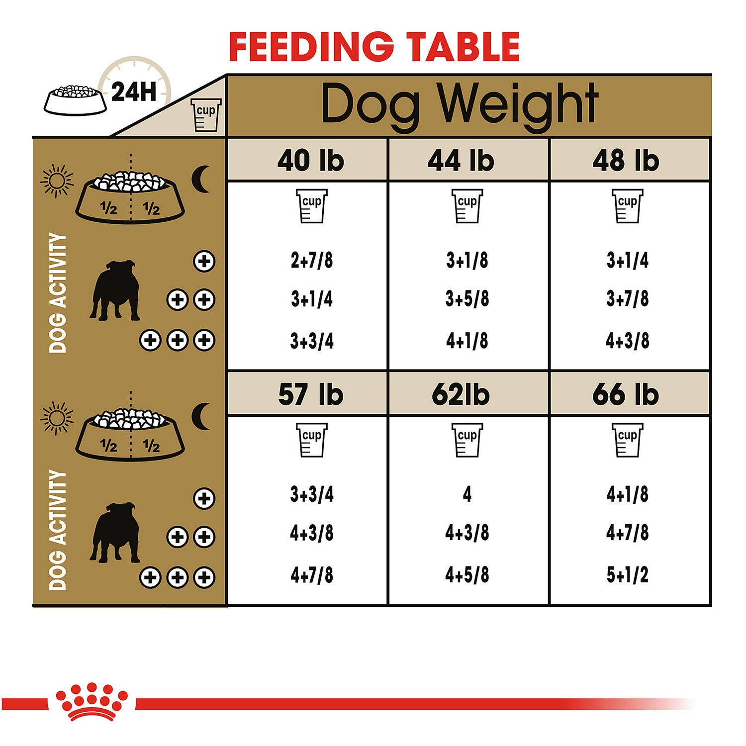 English bulldog puppy food amount 2025
