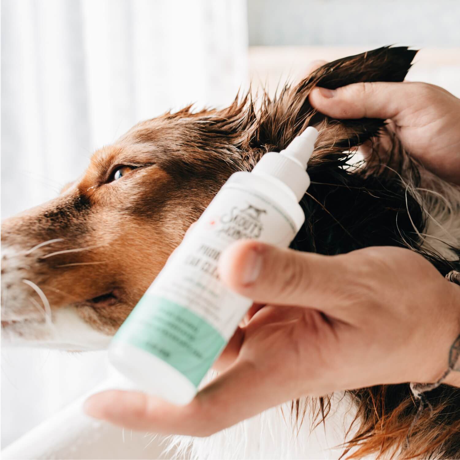 Skout's Honor Probiotic Ear Cleaner For Dogs & Cats, 4-Oz