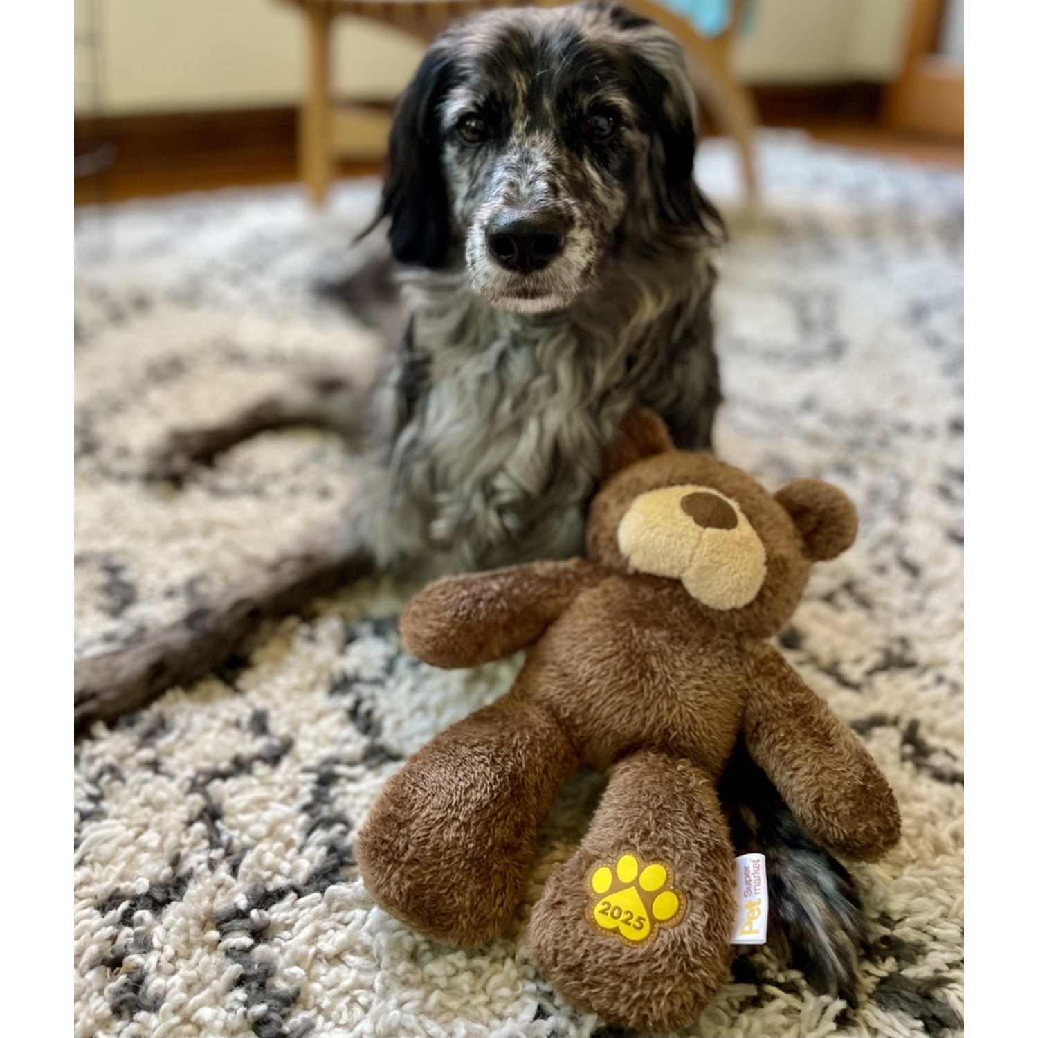 Pet Supermarket 2025 Charity Bear Plush Squeaky Dog Toy, 12"