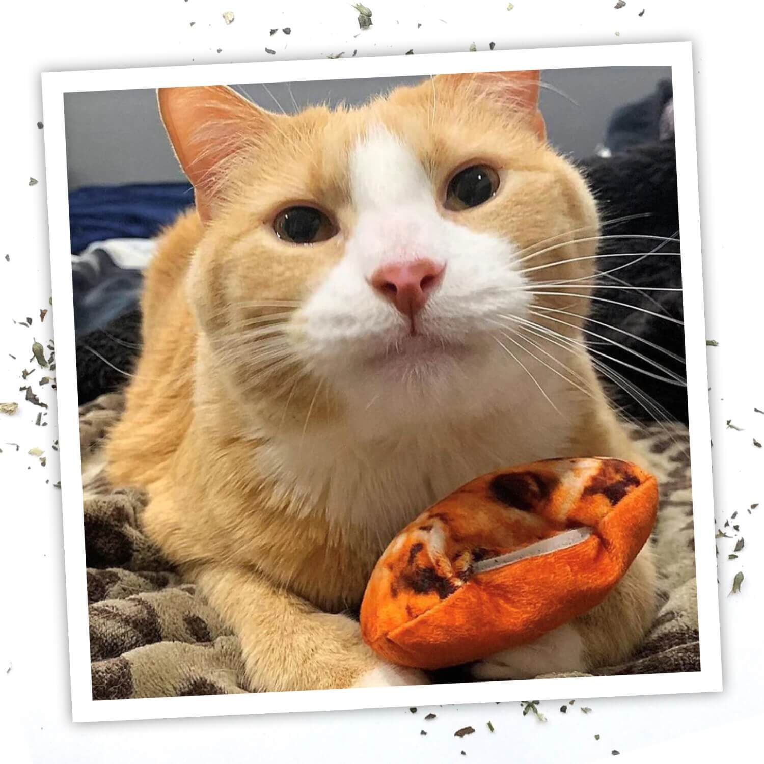 Meowijuana "Get Baked" Cookie Refillable Catnip Cat Toy