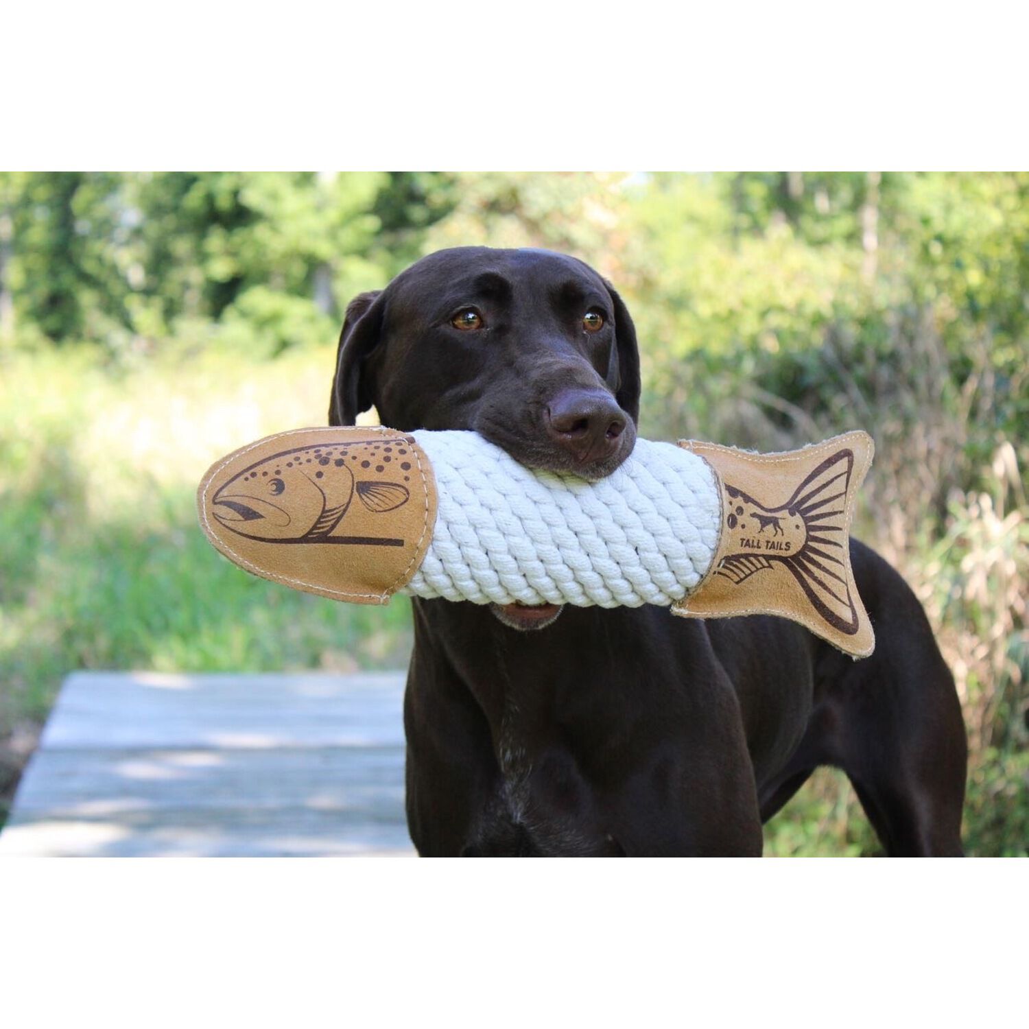 Tall Tails Trout Natural Leather & Rope Dog Tug Toy, 15"