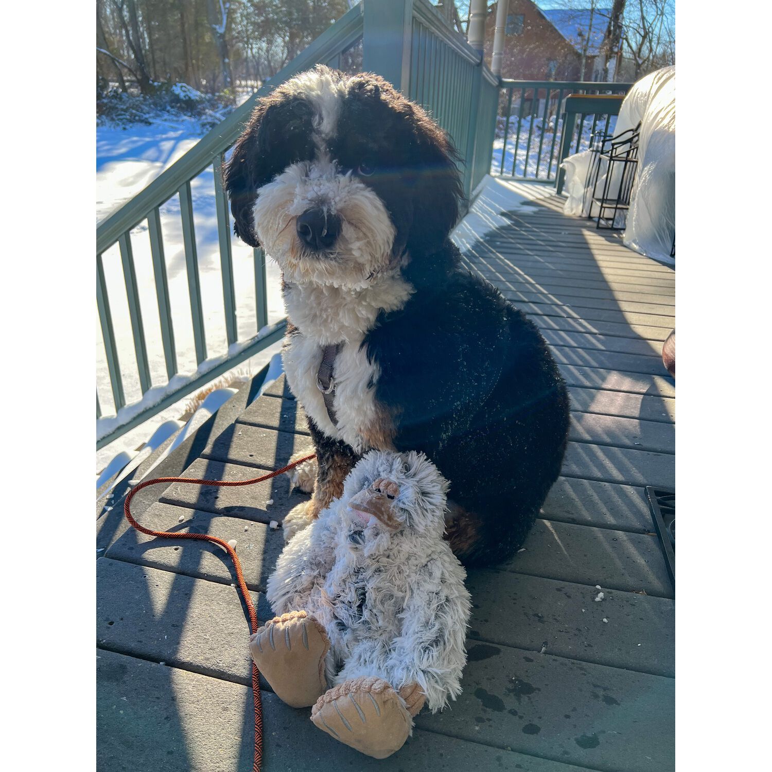 Tall Tails Yeti With Squeaker Durable Plush Dog Toy, 14"