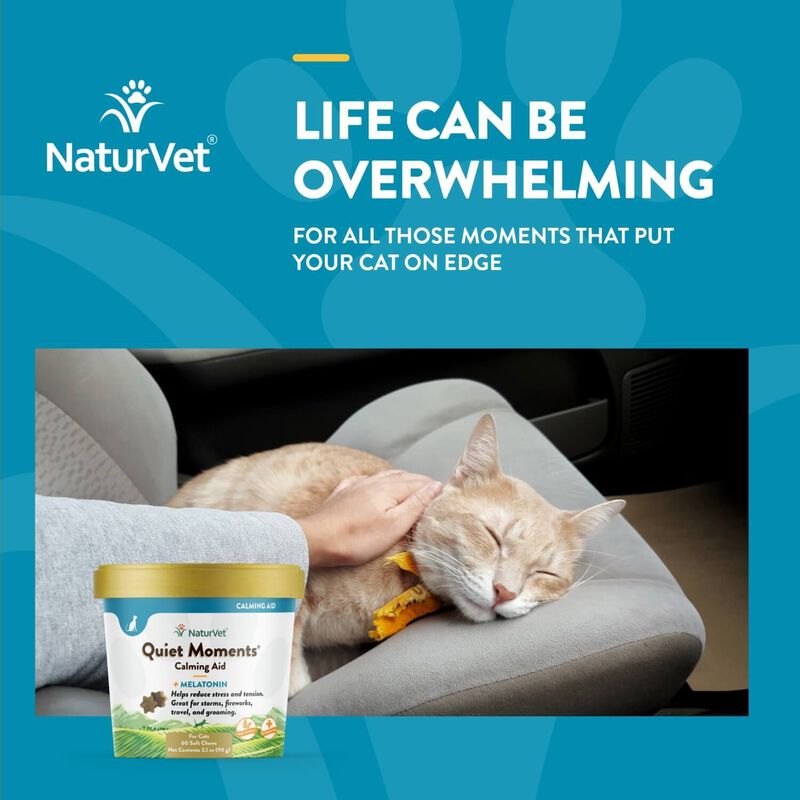 Natur Vet Quiet Moments Calming Aid Cat Soft Chews With Melatonin